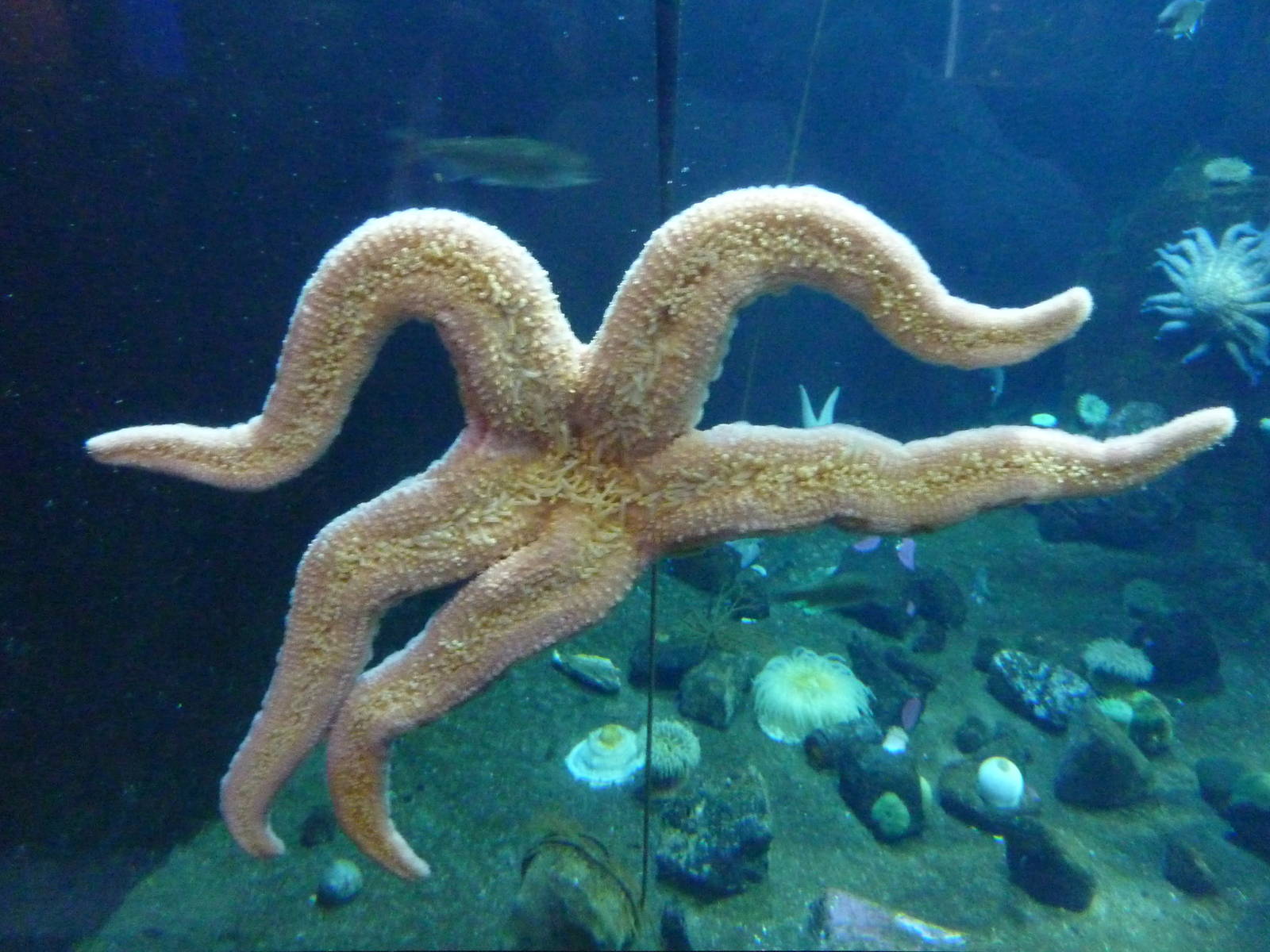 Rocky Shores Exhibits