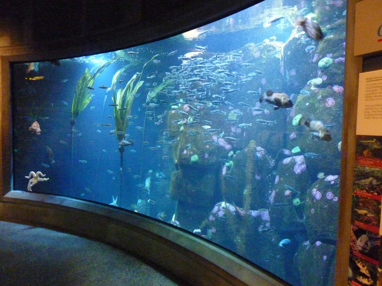 Rocky Shores Exhibits