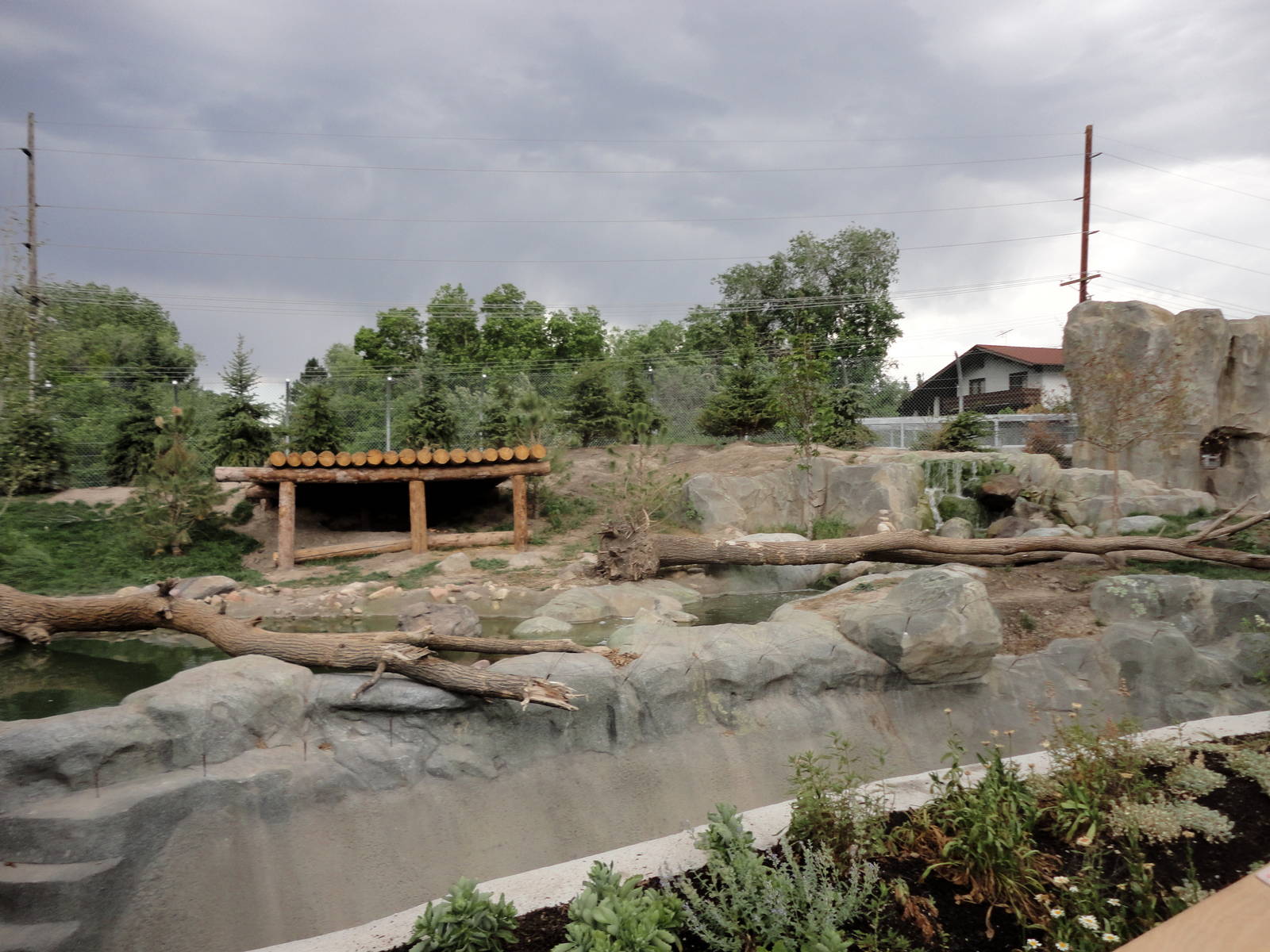 Rocky Shores - Grizzly Bear Exhibit