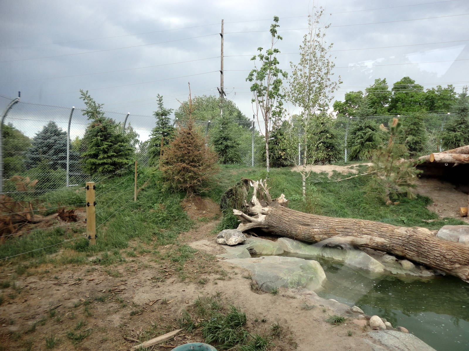 Rocky Shores - Grizzly Bear Exhibit