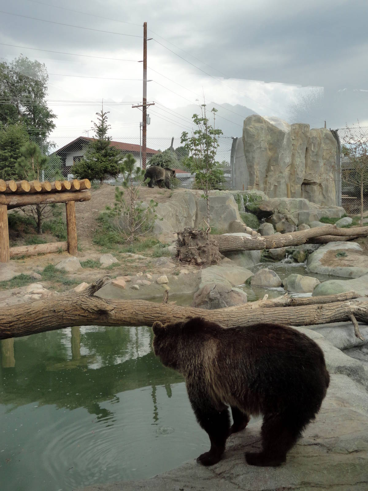 Rocky Shores - Grizzly Bear Exhibit