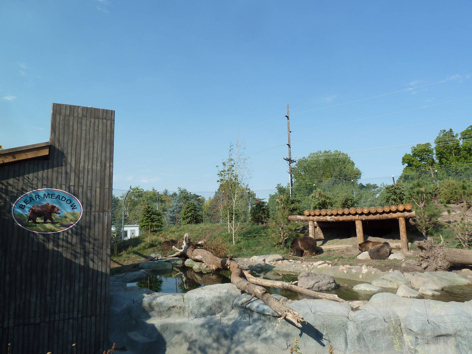 Rocky Shores - Grizzly Bear Exhibit