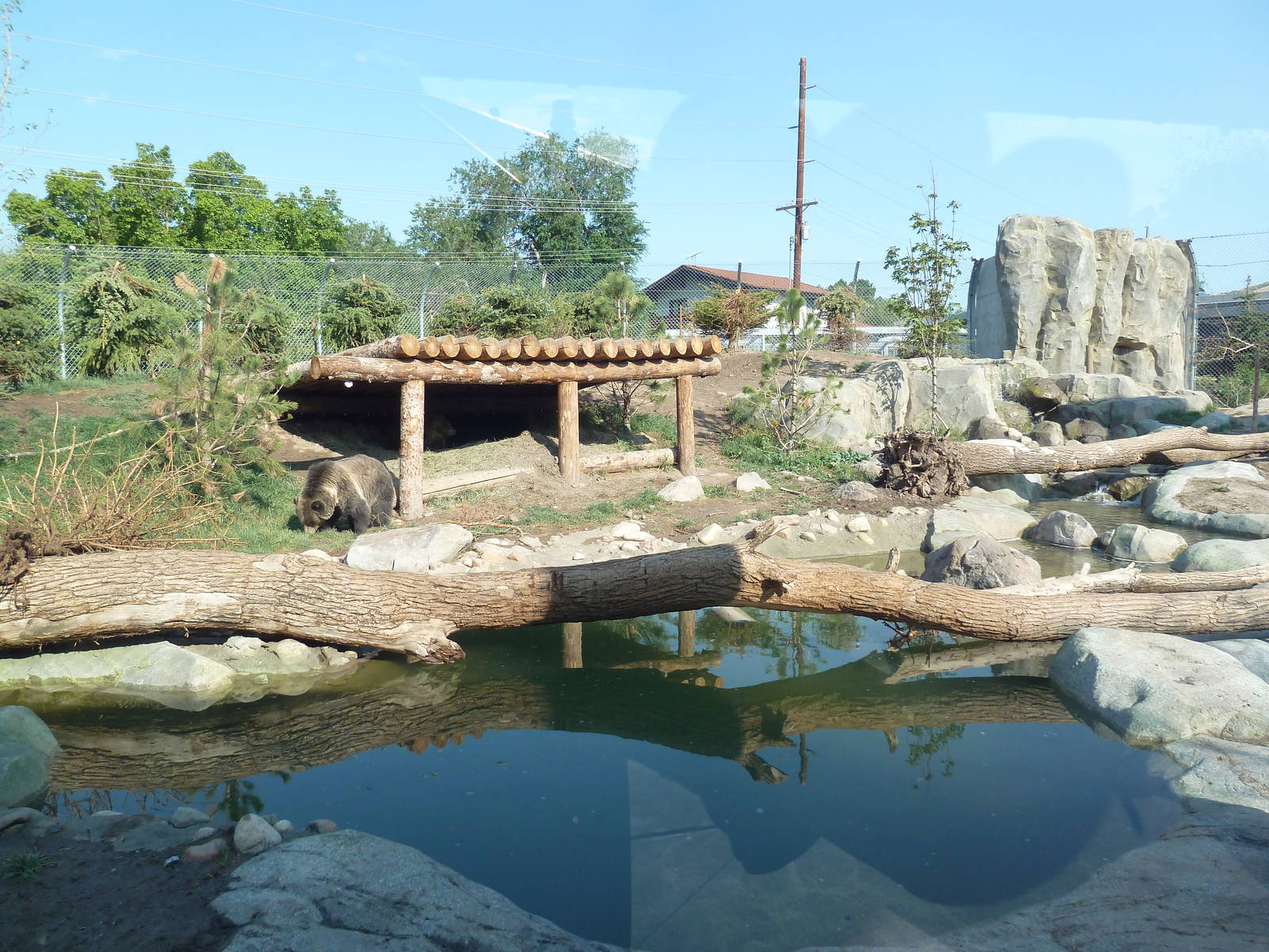 Rocky Shores - Grizzly Bear Exhibit