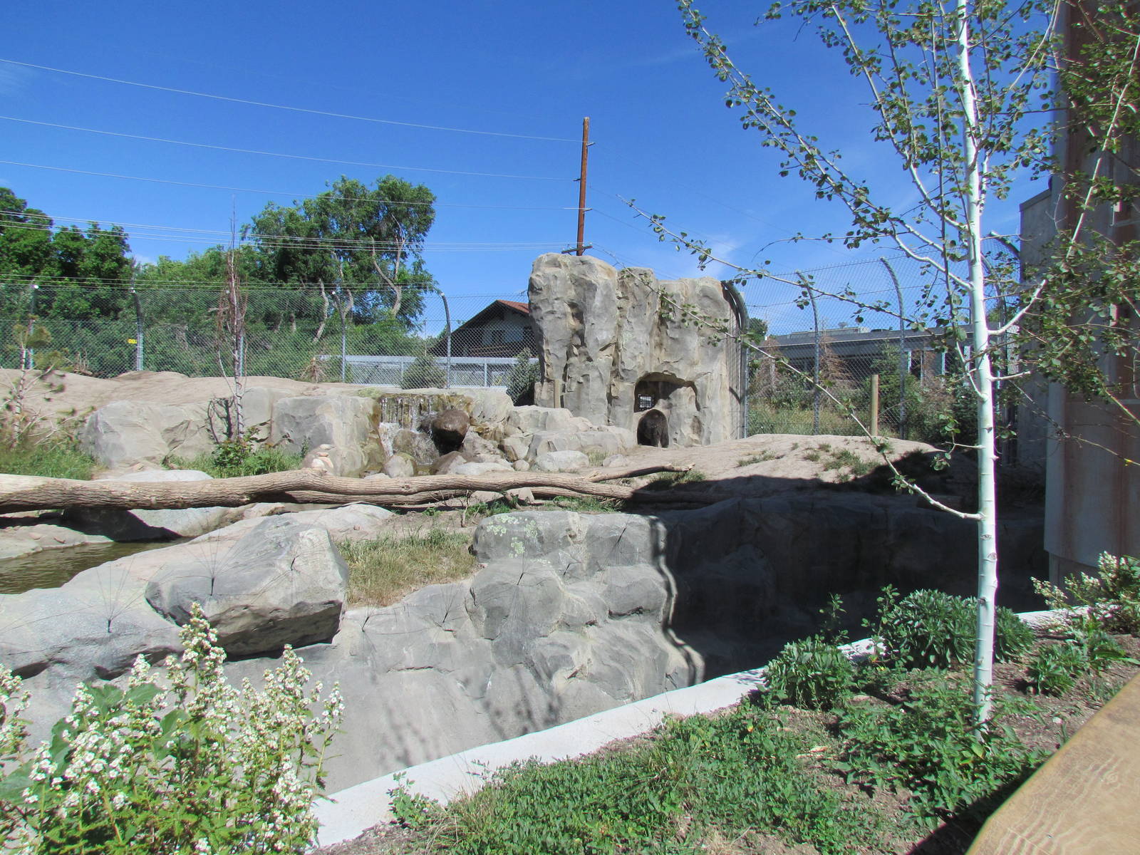 Rocky Shores - Grizzly Bear Exhibit