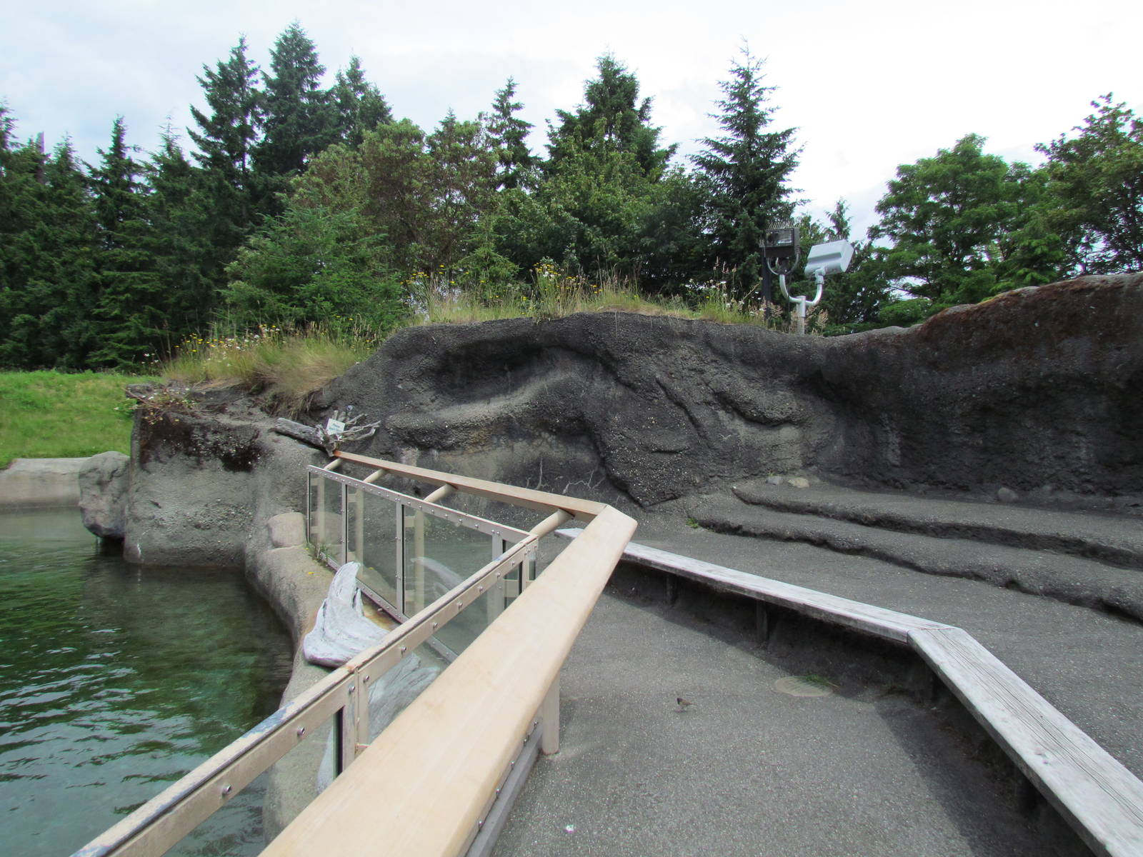 Rocky Shores - Harbor Seal Exhibit