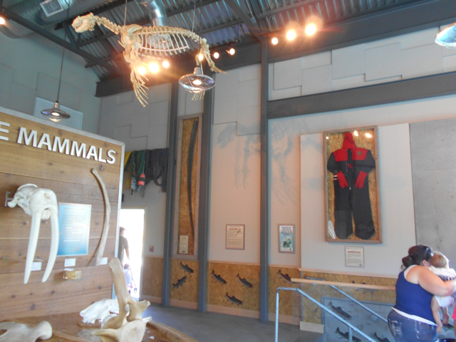 Rocky Shores main gallery