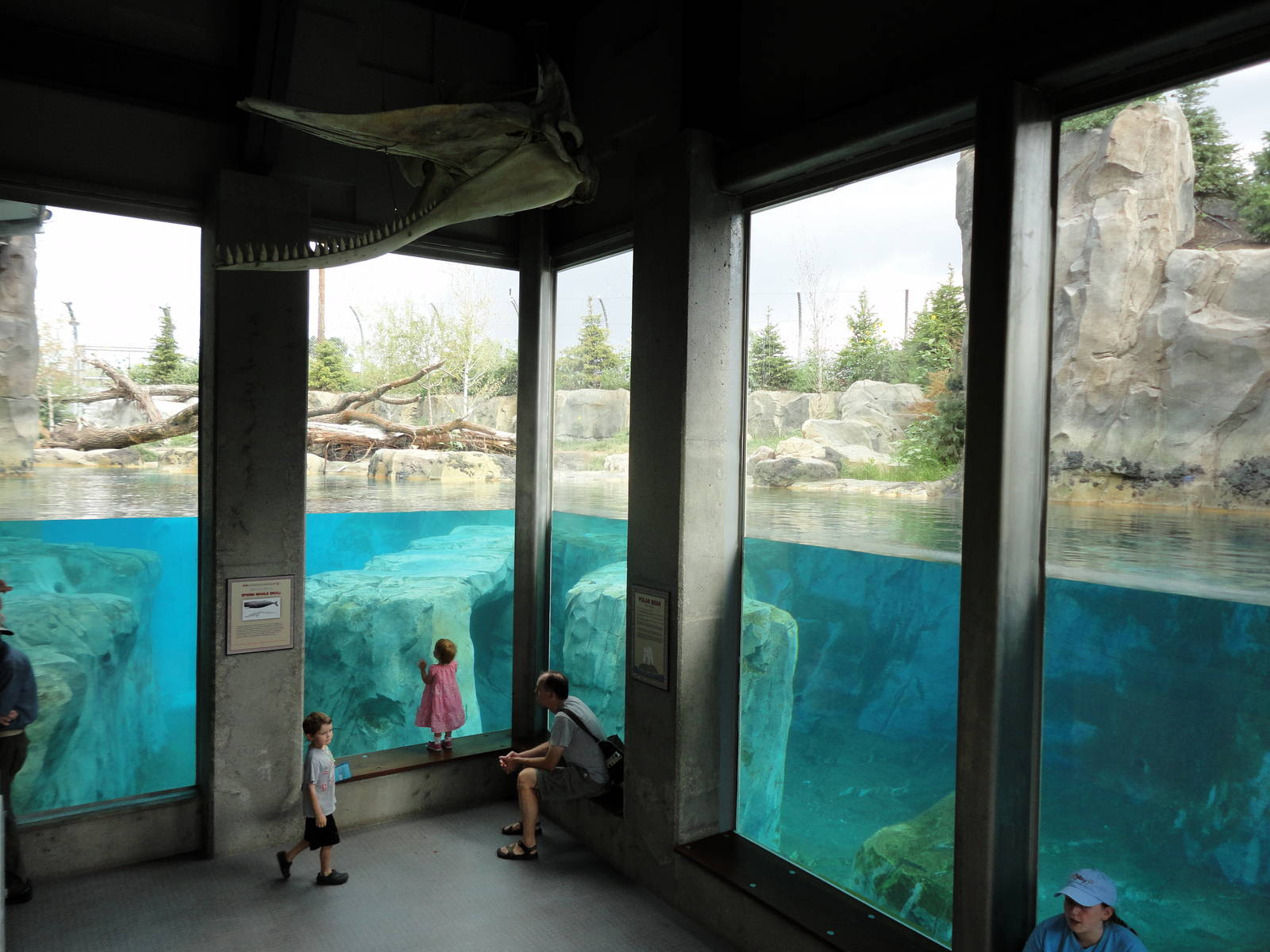 Rocky Shores - Main Underwater Viewing Area