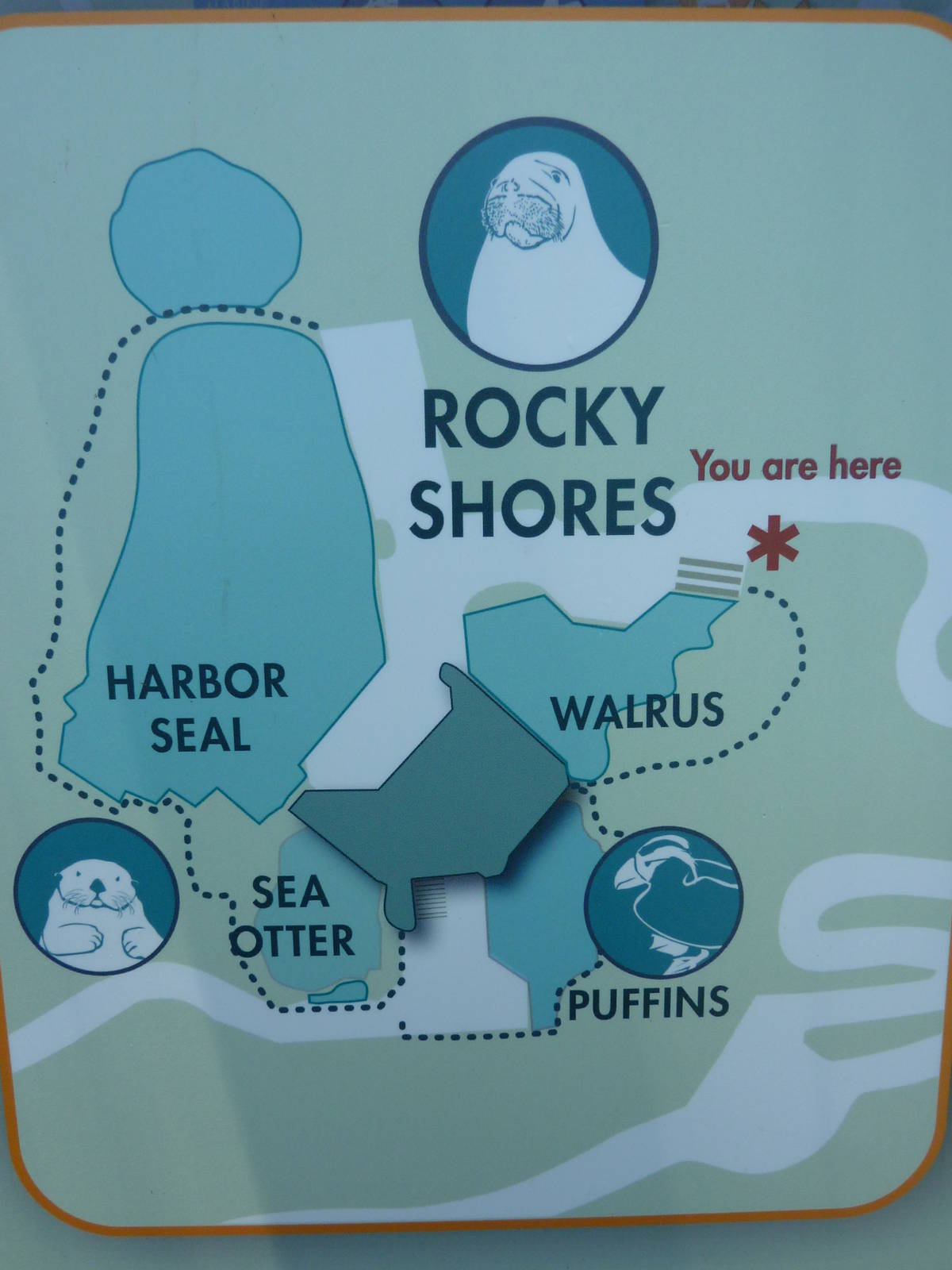 Rocky Shores Map