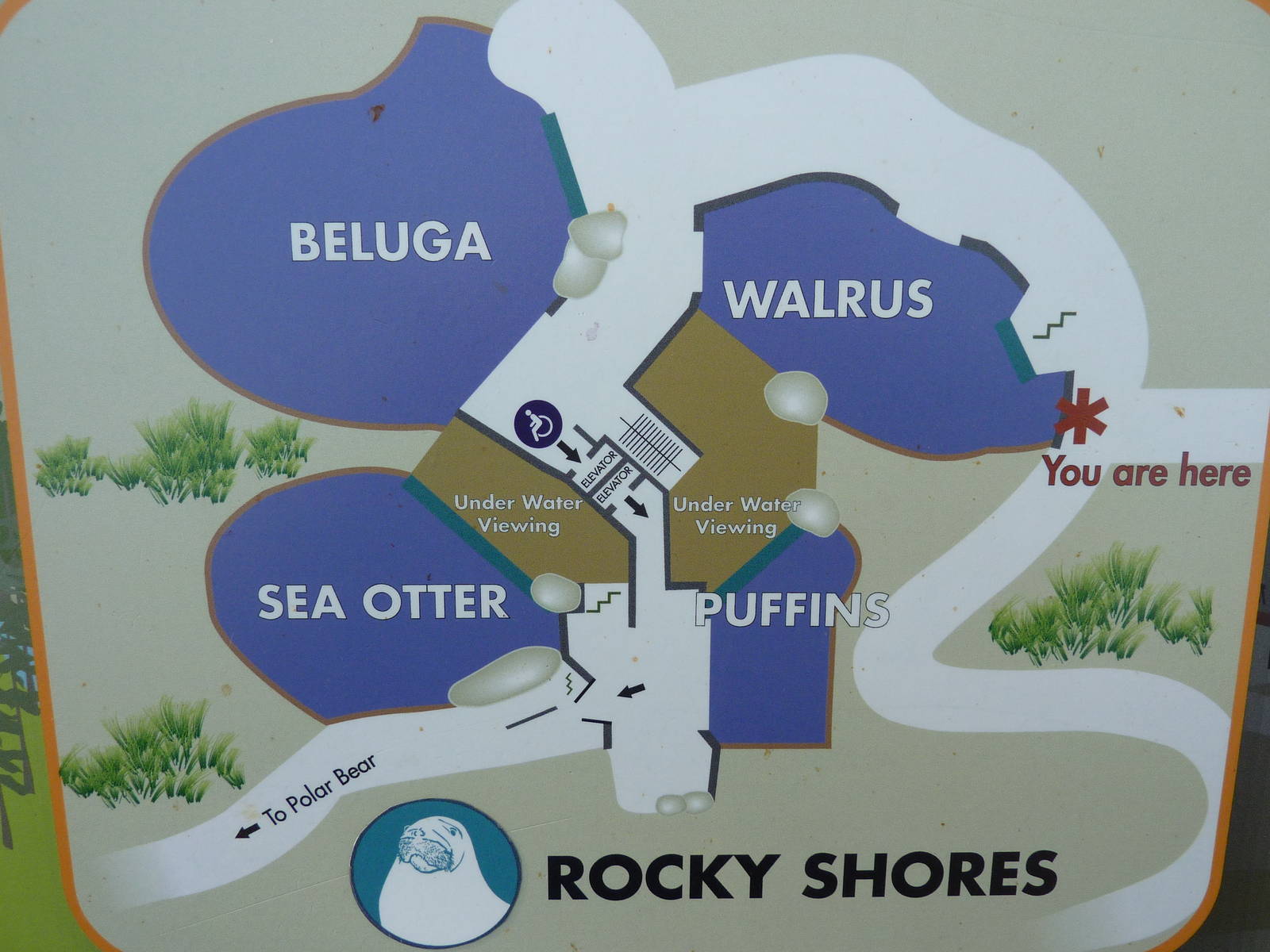 Rocky Shores Map
