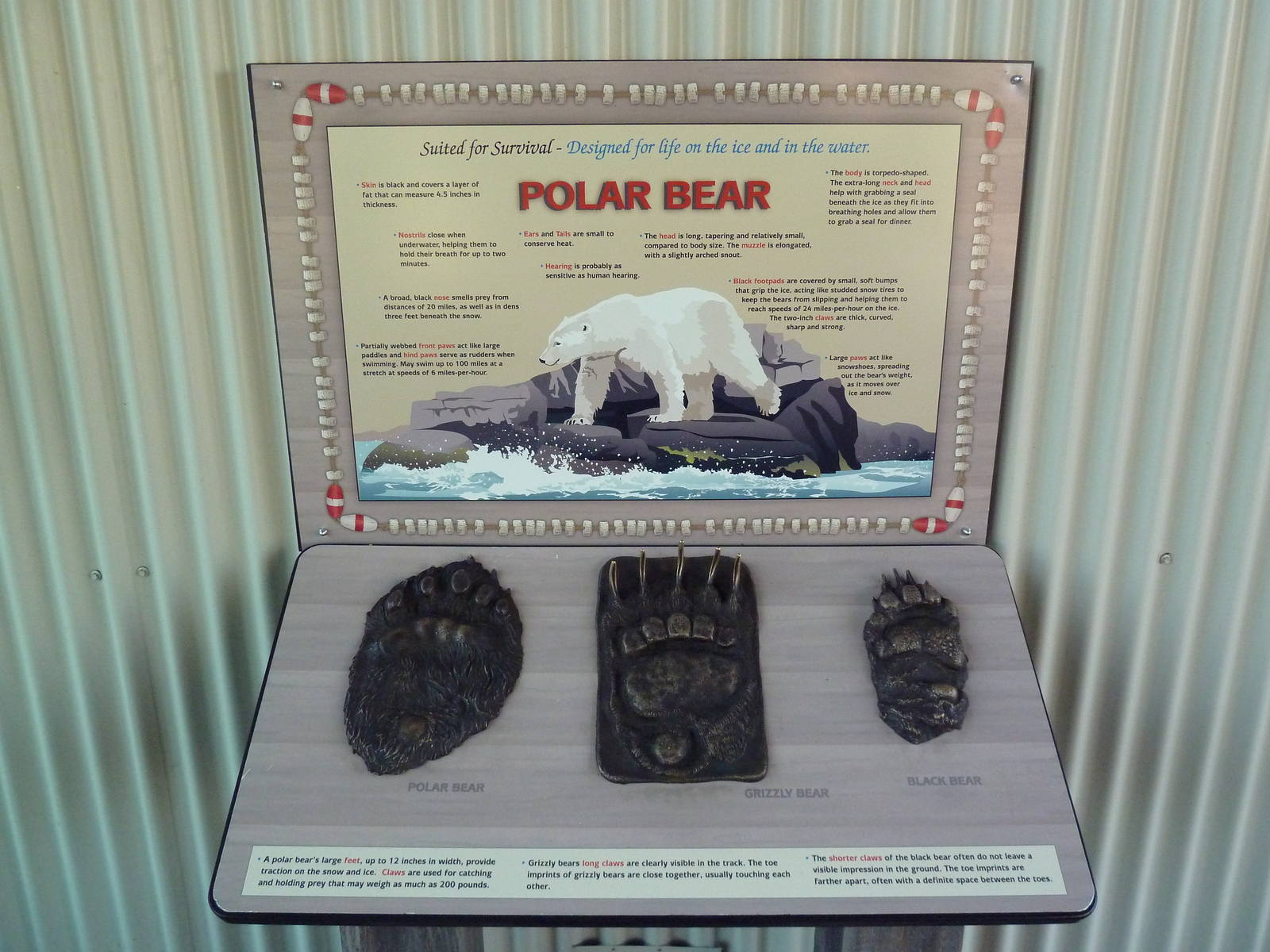 Rocky Shores - Outstanding Polar Bear Sign!