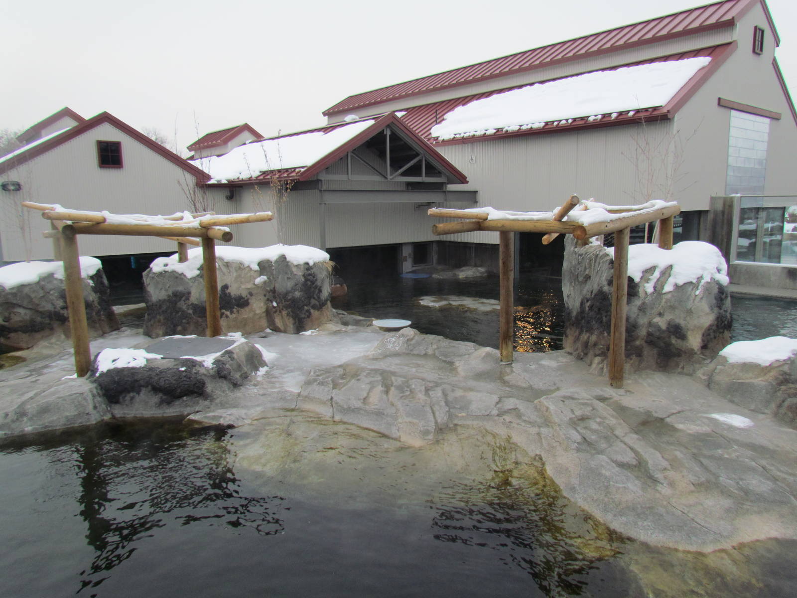 Rocky Shores - Pinniped Exhibit