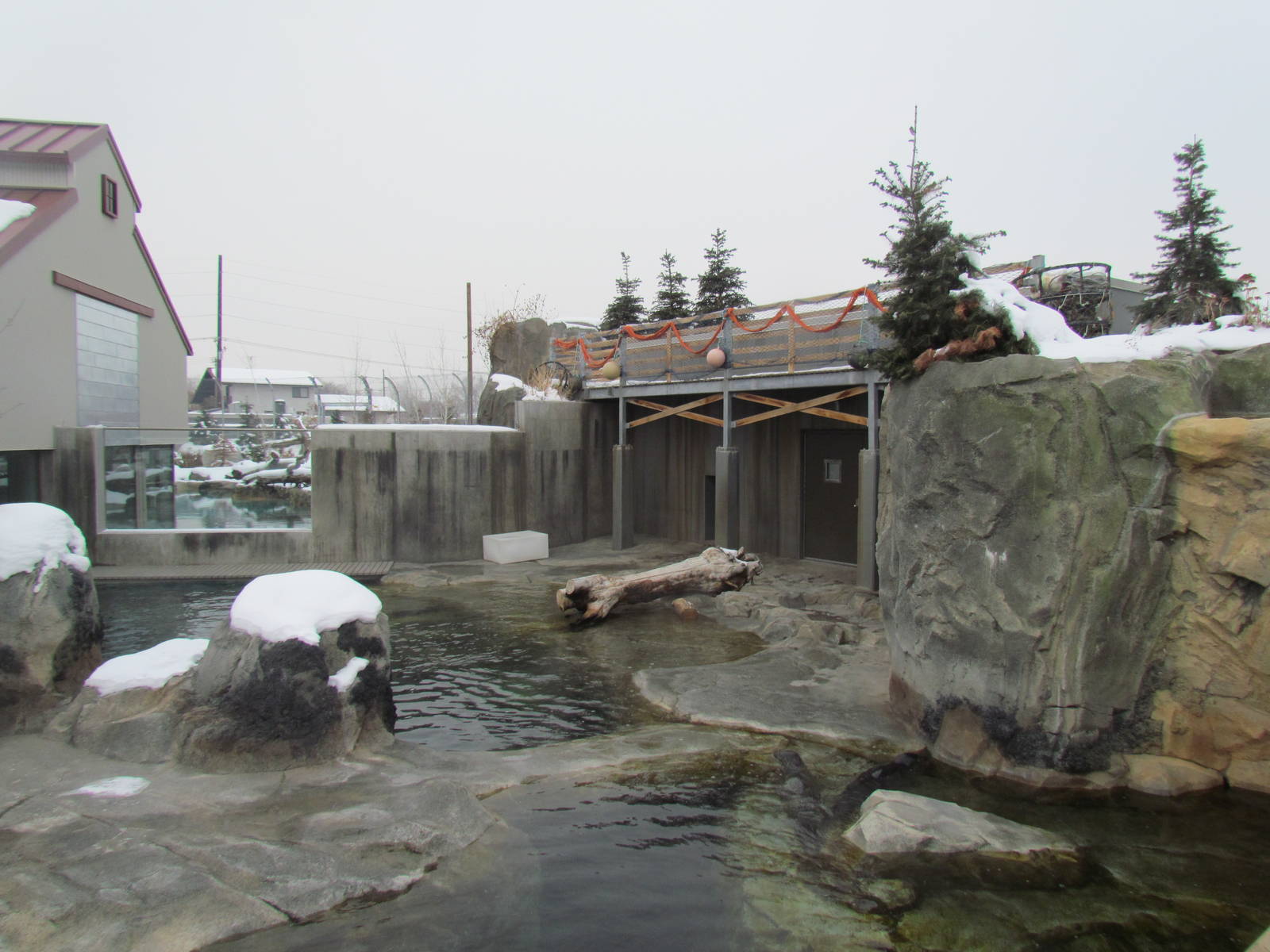 Rocky Shores - Pinniped Exhibit