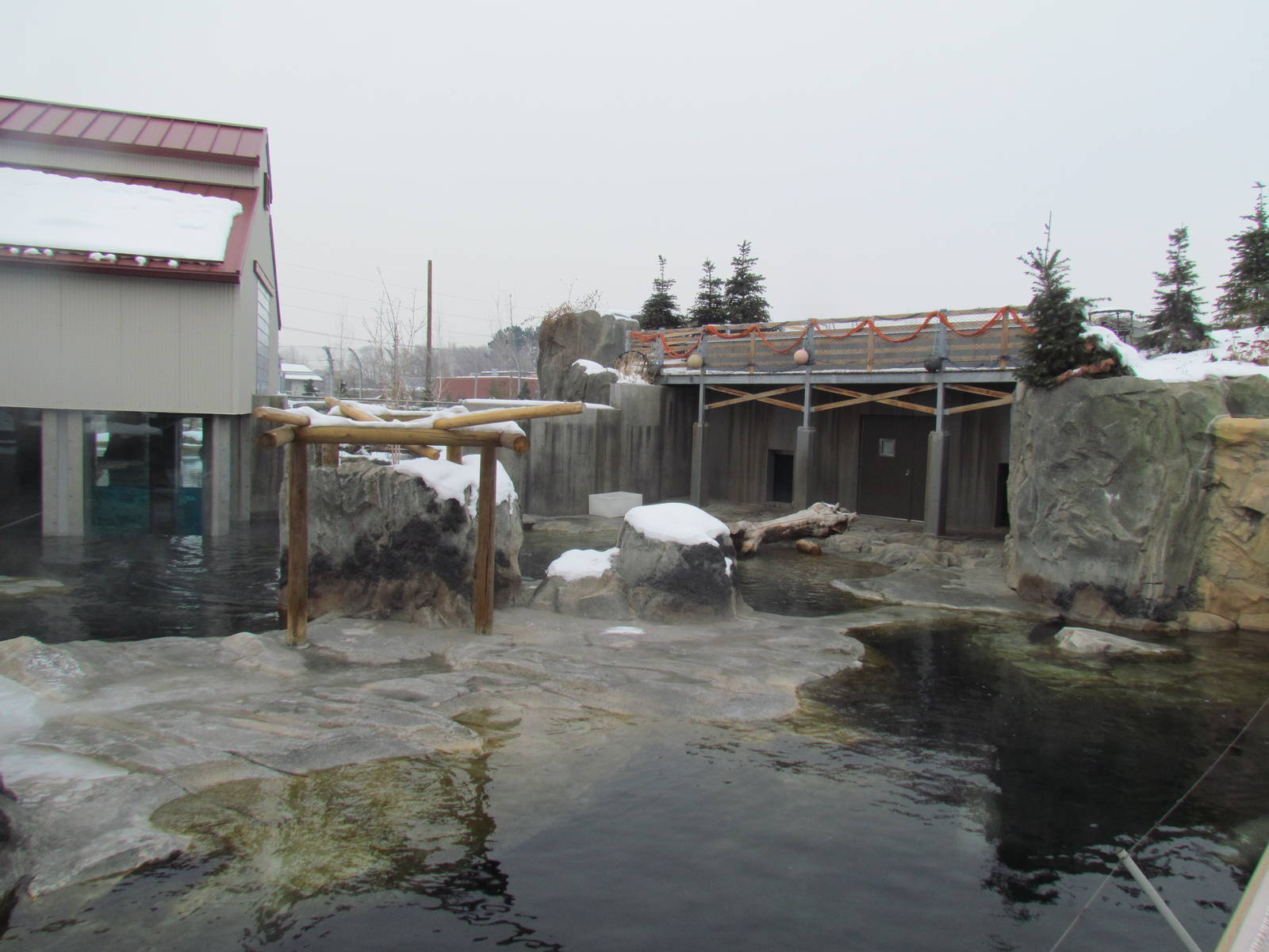 Rocky Shores - Pinniped Exhibit