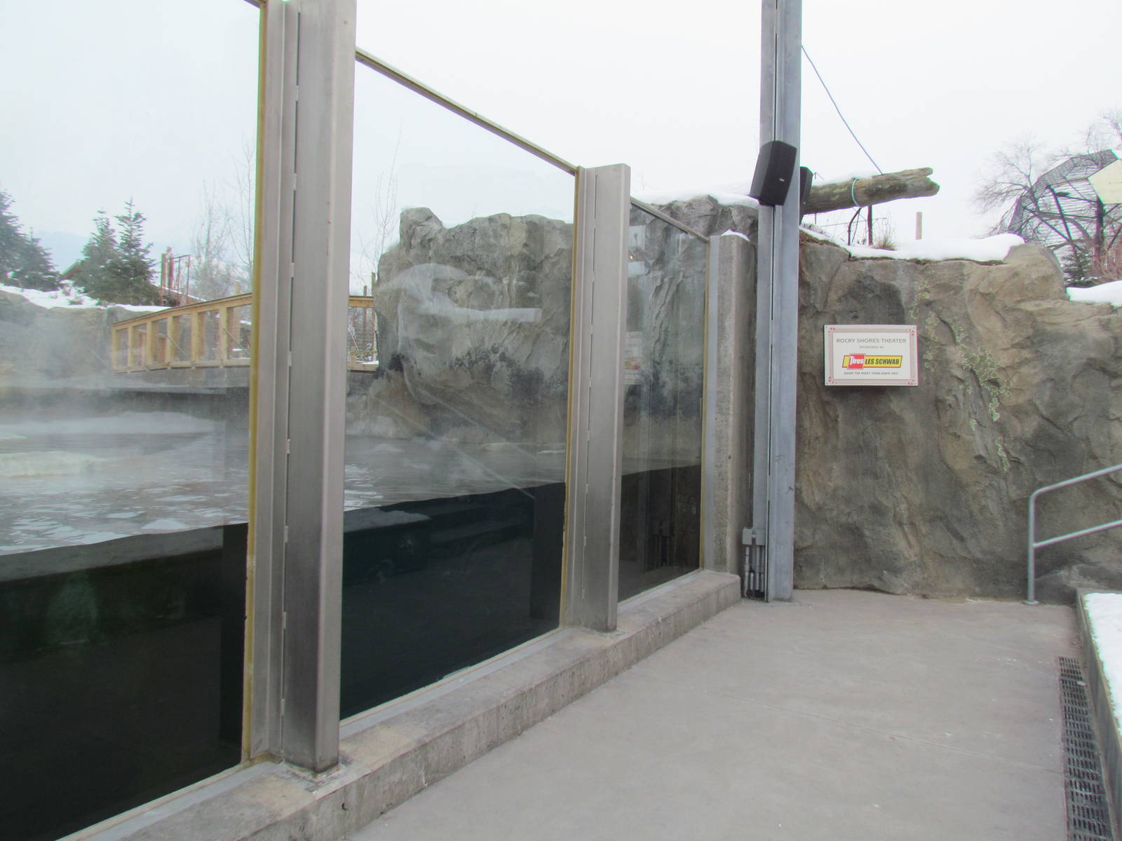 Rocky Shores - Pinniped Exhibit