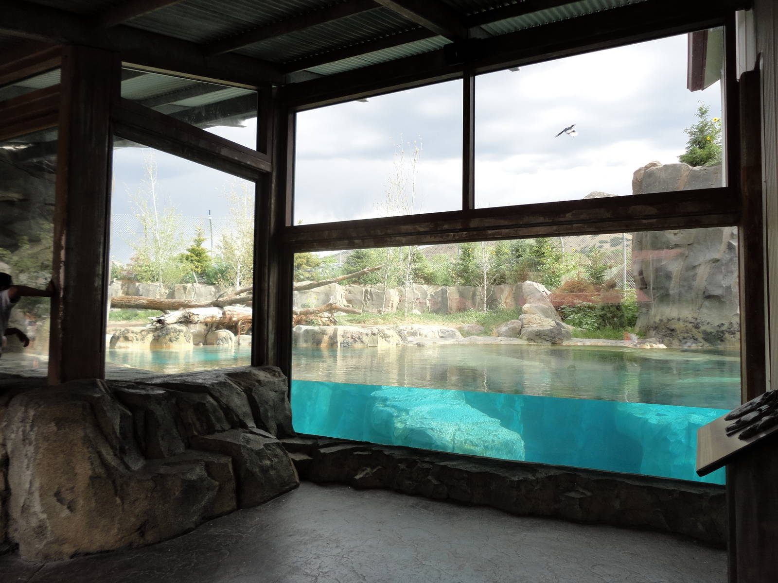 Rocky Shores - Polar Bear Exhibit