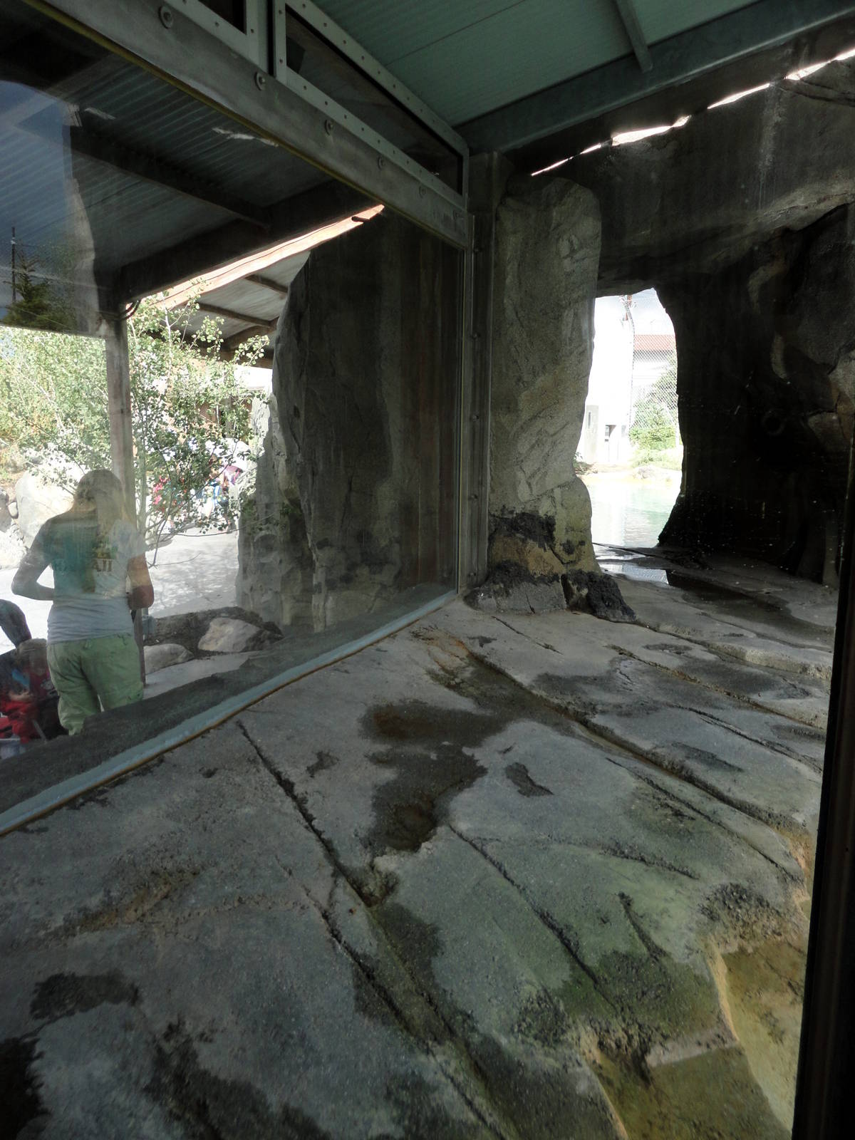 Rocky Shores - Polar Bear Exhibit