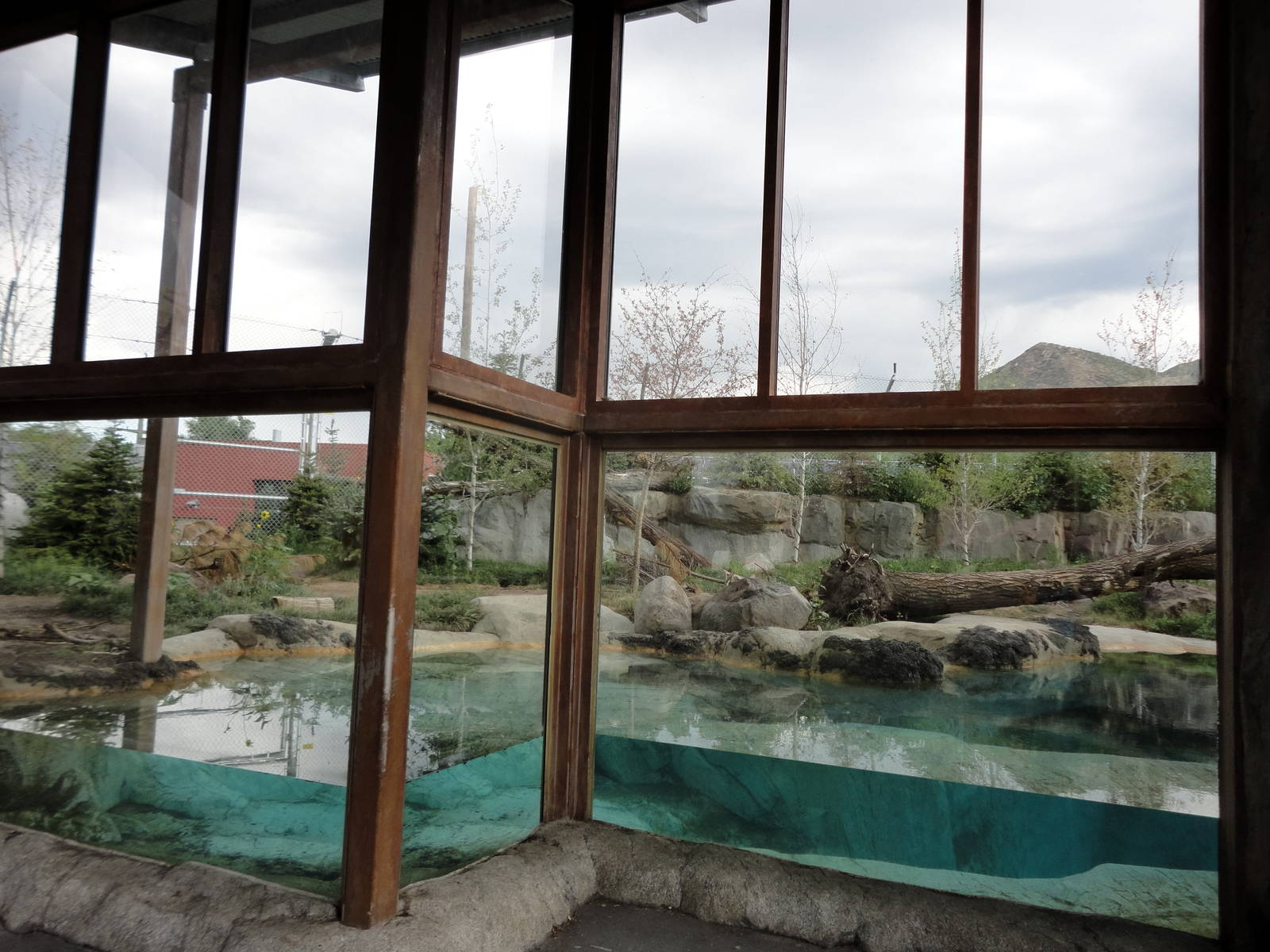 Rocky Shores - Polar Bear Exhibit