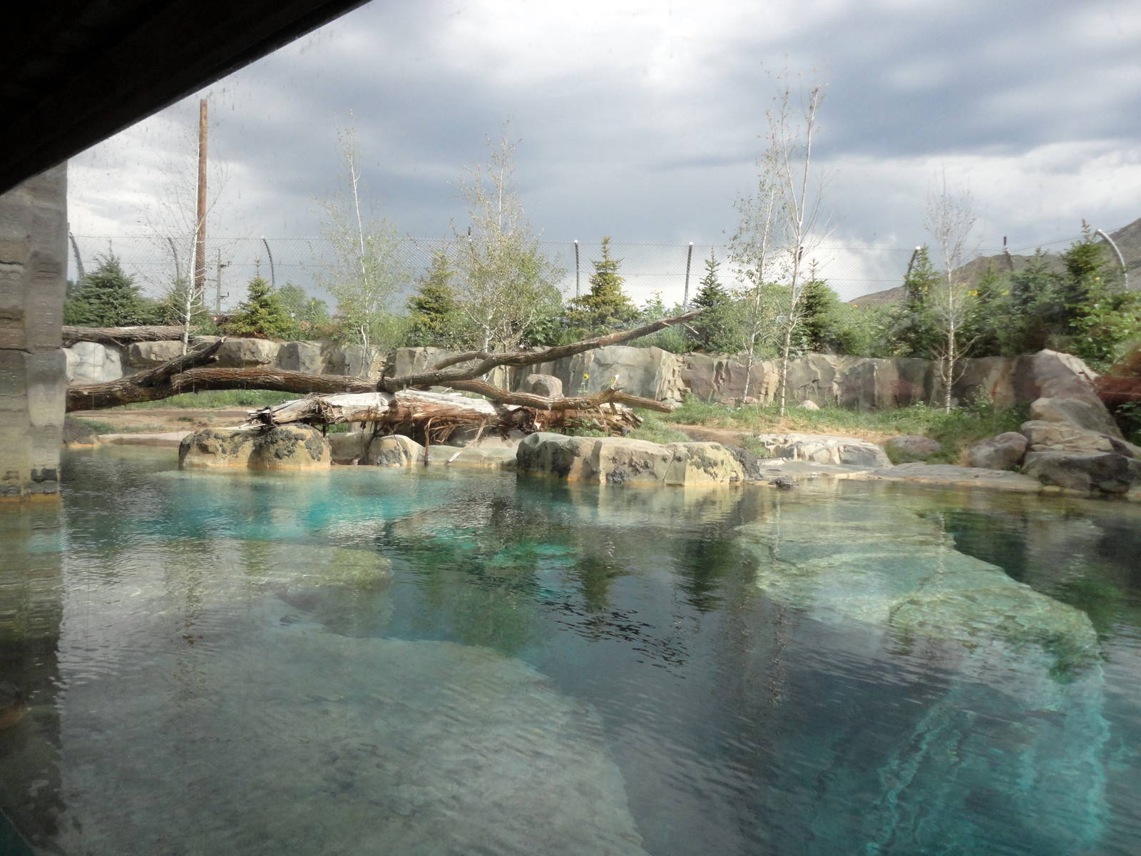 Rocky Shores - Polar Bear Exhibit