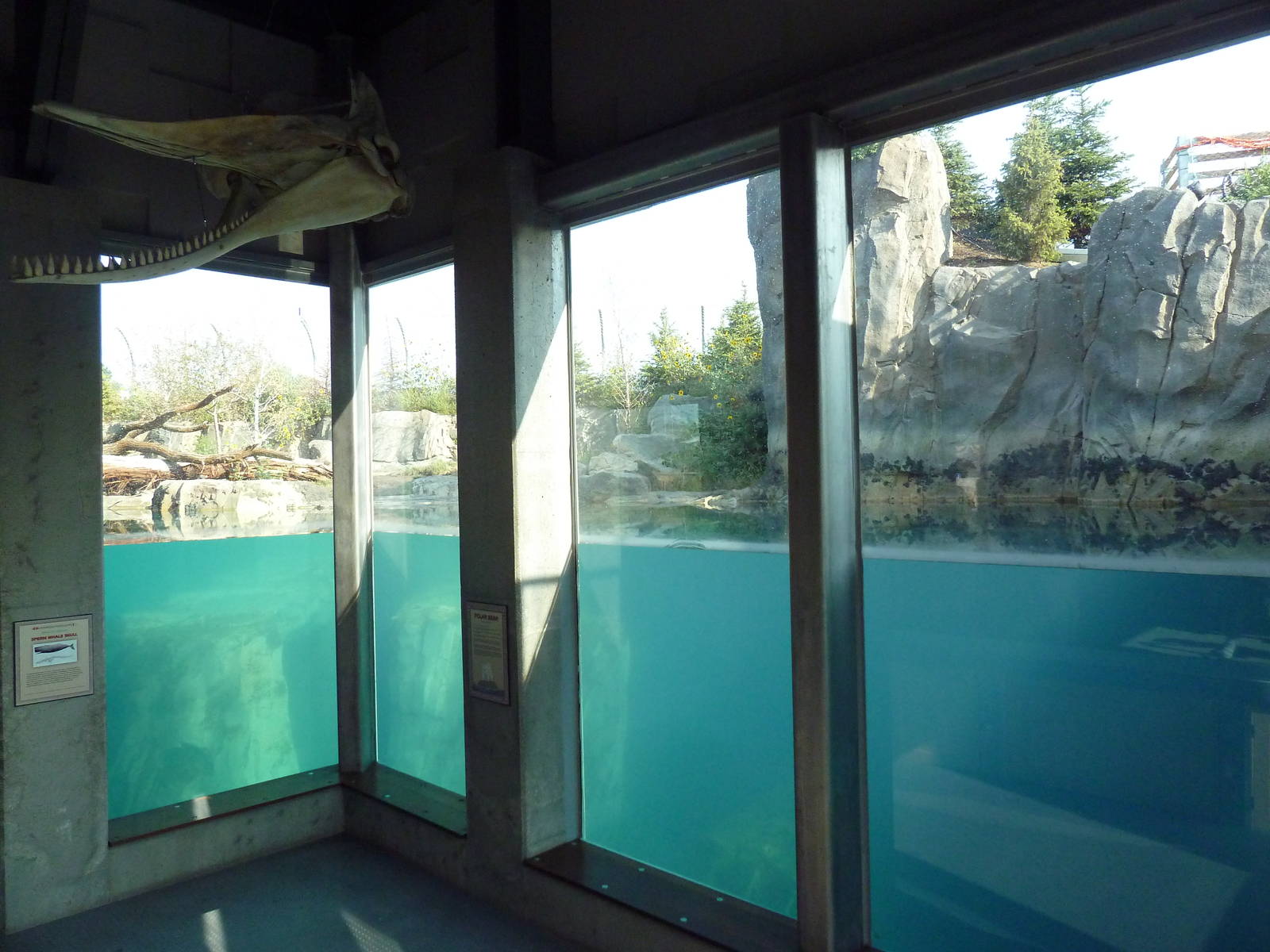 Rocky Shores - Polar Bear Exhibit