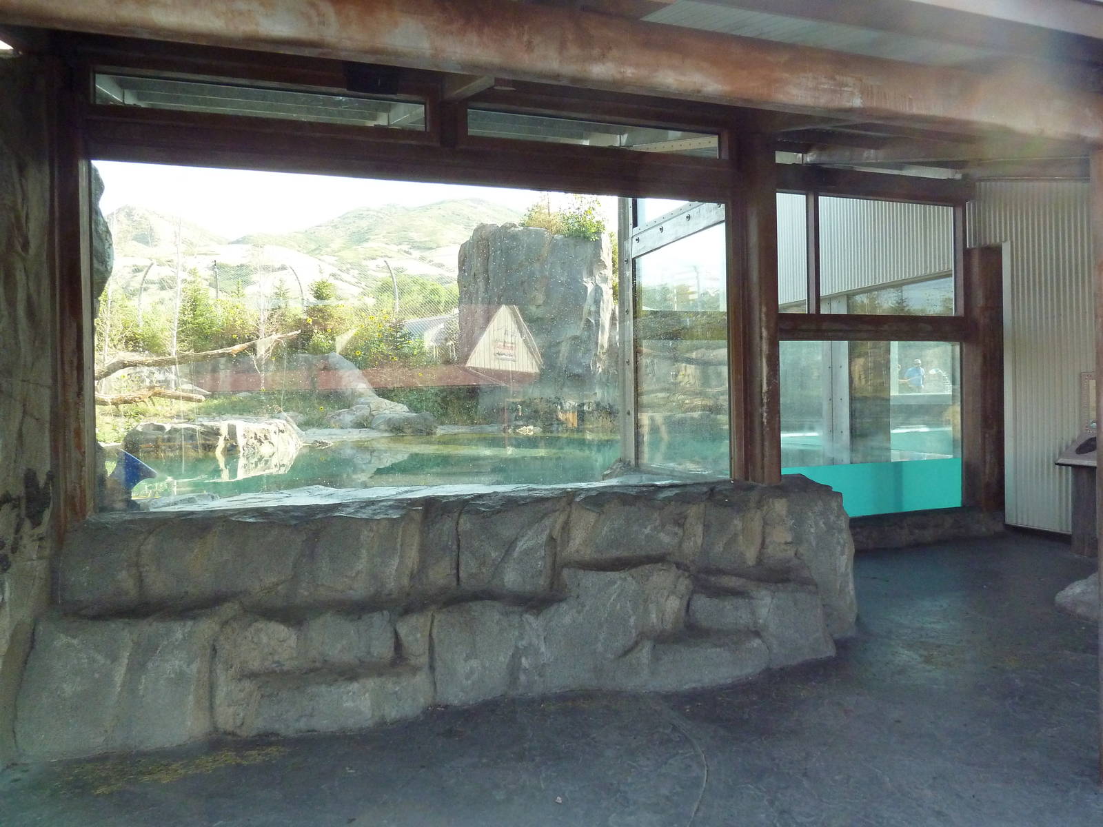Rocky Shores - Polar Bear Exhibit