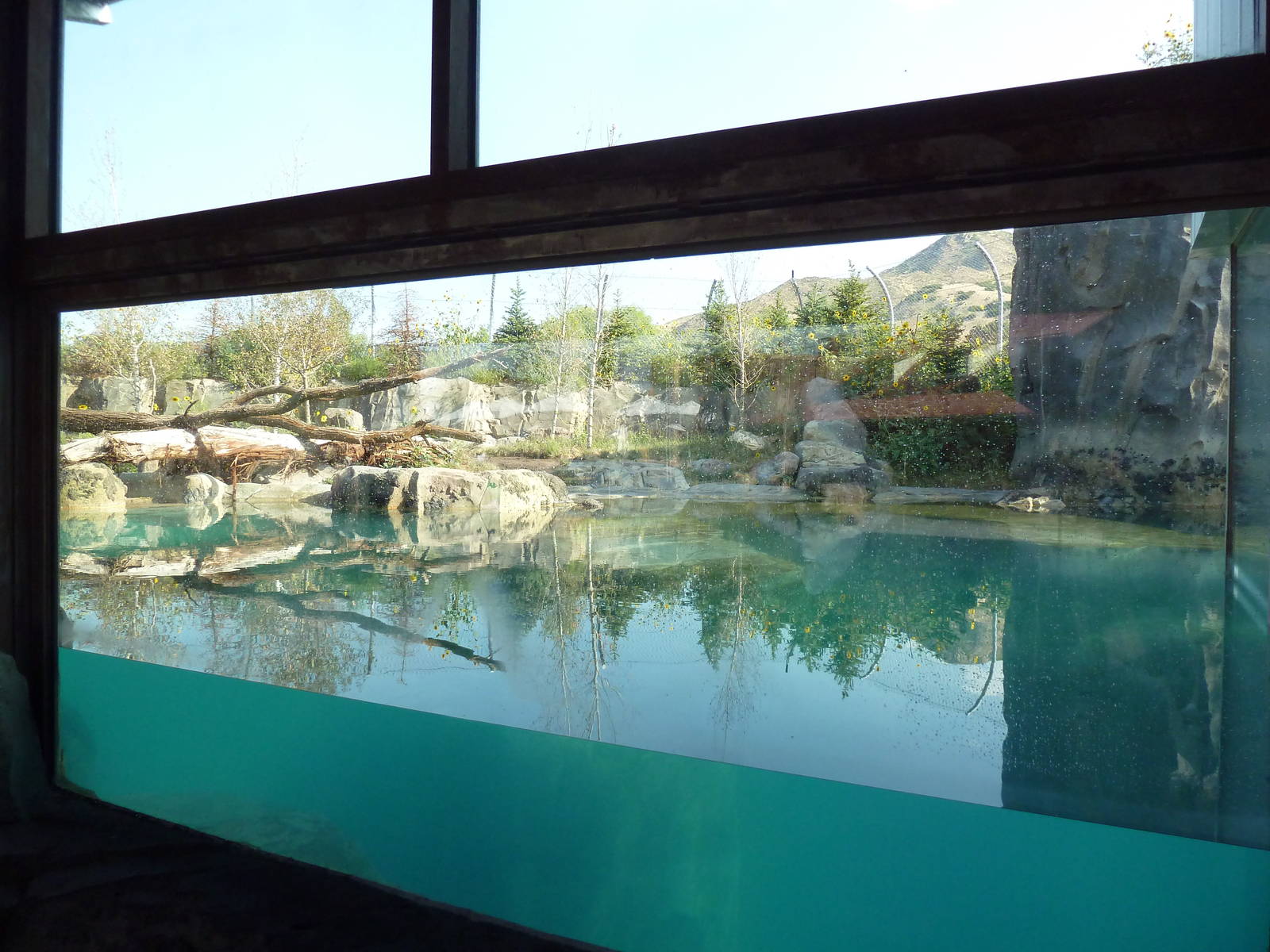 Rocky Shores - Polar Bear Exhibit