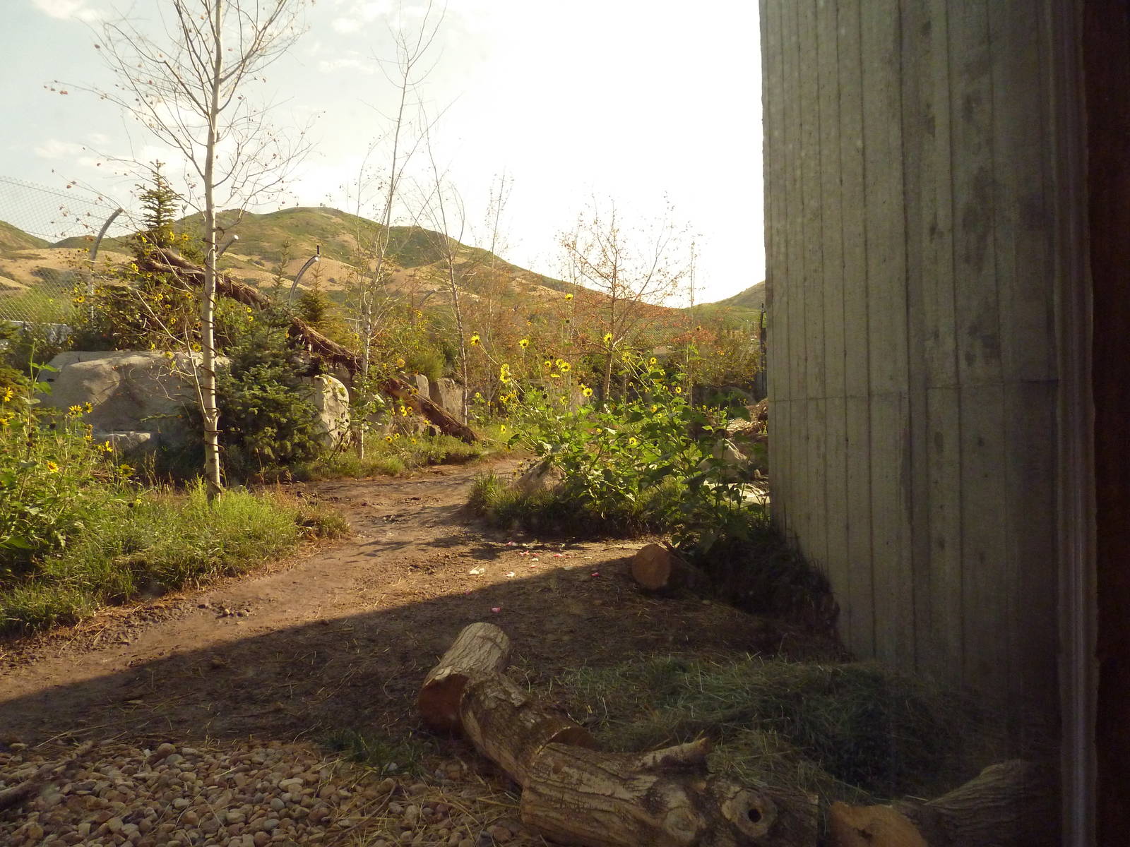 Rocky Shores - Polar Bear Exhibit