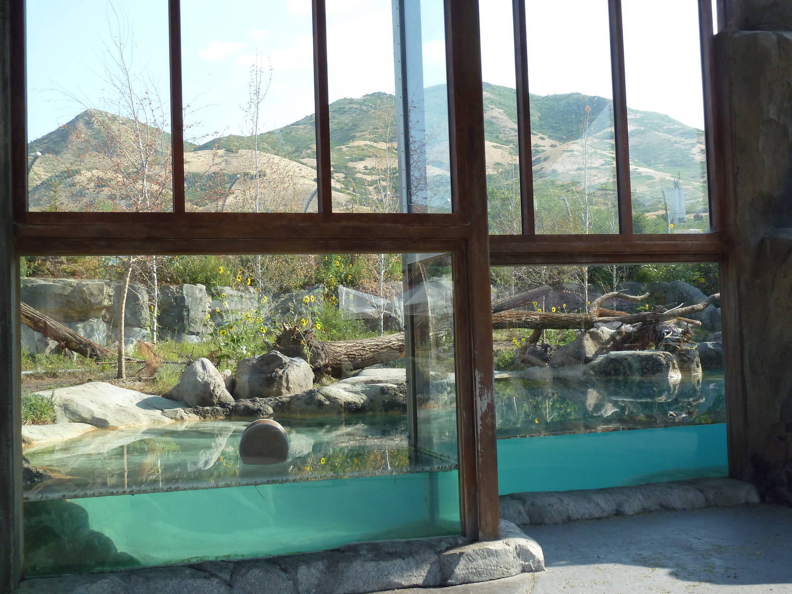 Rocky Shores - Polar Bear Exhibit
