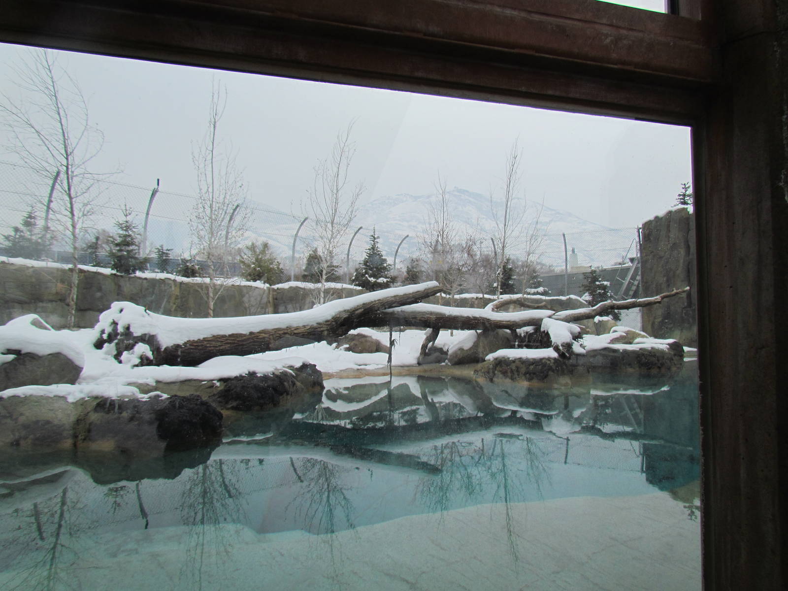 Rocky Shores - Polar Bear Exhibit