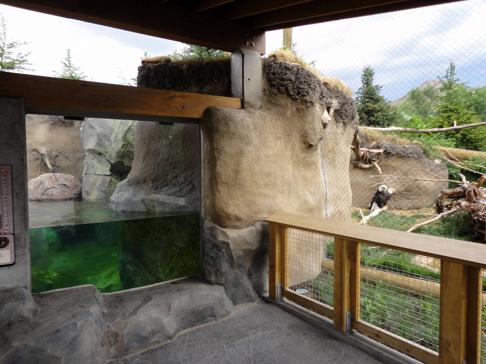 Rocky Shores - River Otter and Bald Eagle Exhibits