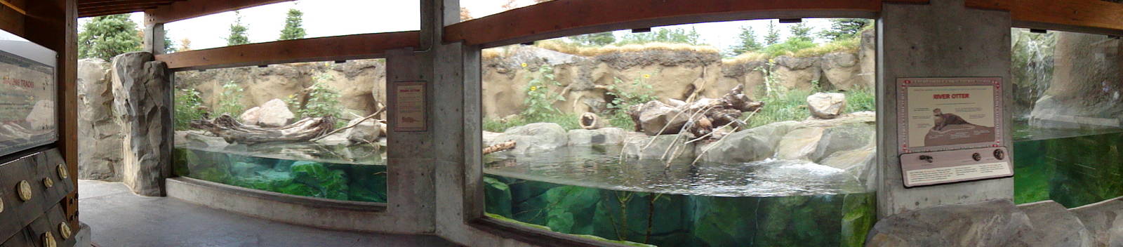 Rocky Shores - River Otter Exhibit