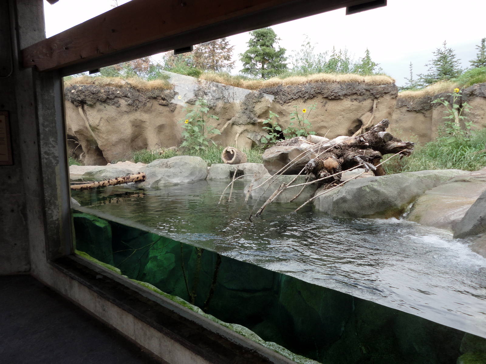 Rocky Shores - River Otter Exhibit