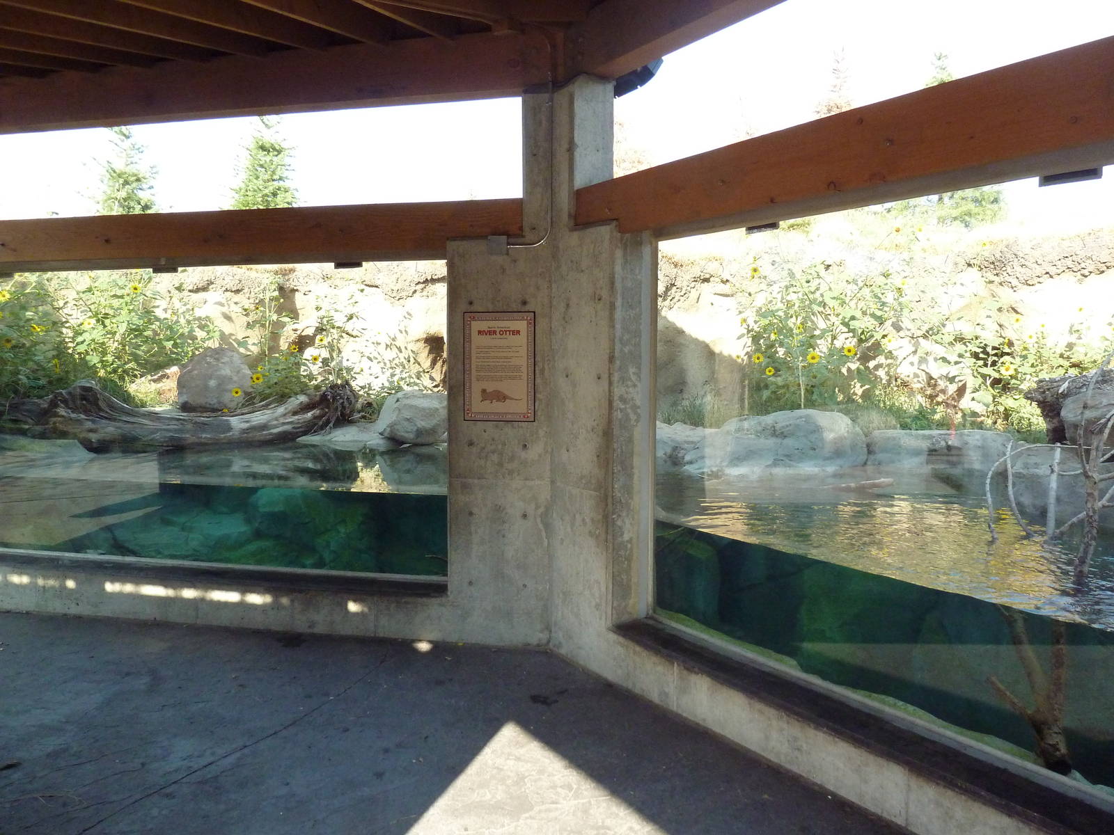Rocky Shores - River Otter Exhibit