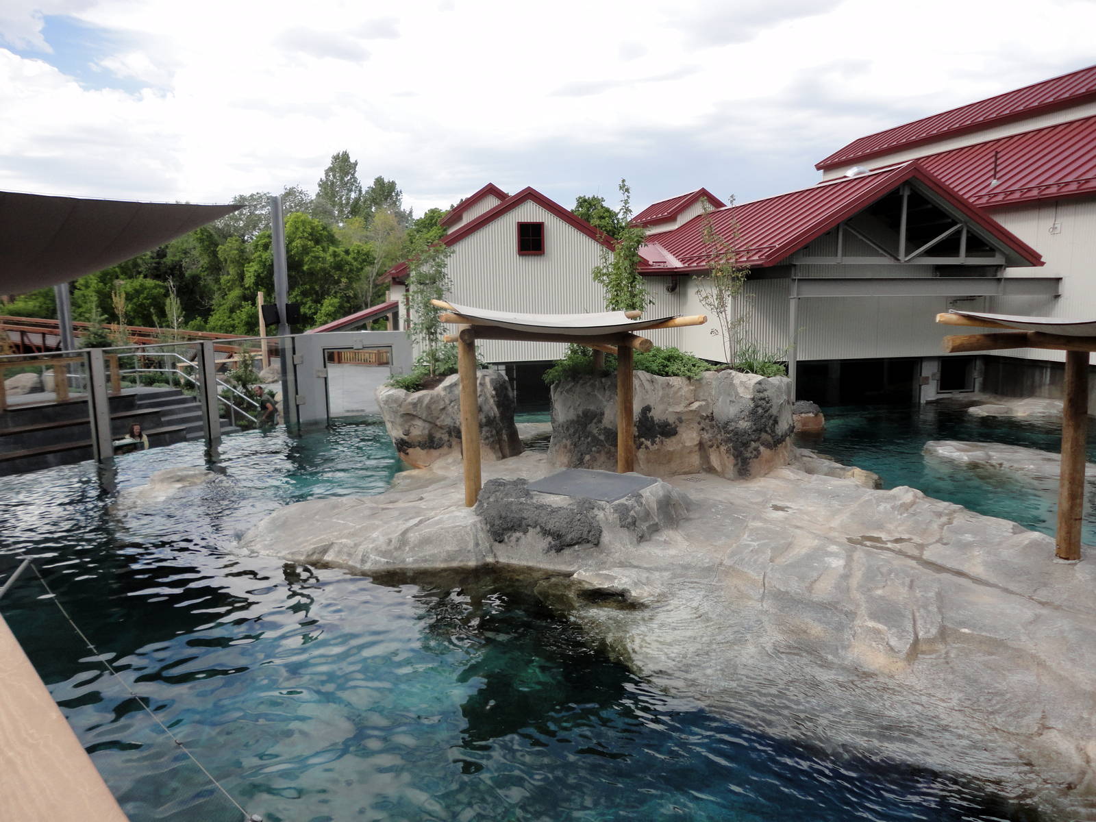 Rocky Shores - Seal/Sea Lion Exhibit