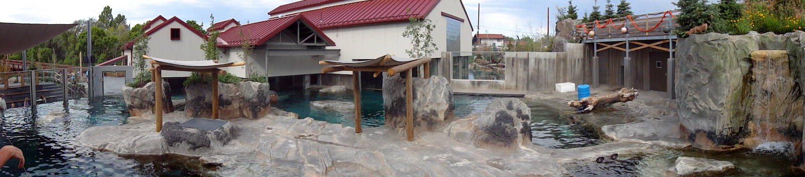 Rocky Shores - Seal/Sea Lion Exhibit