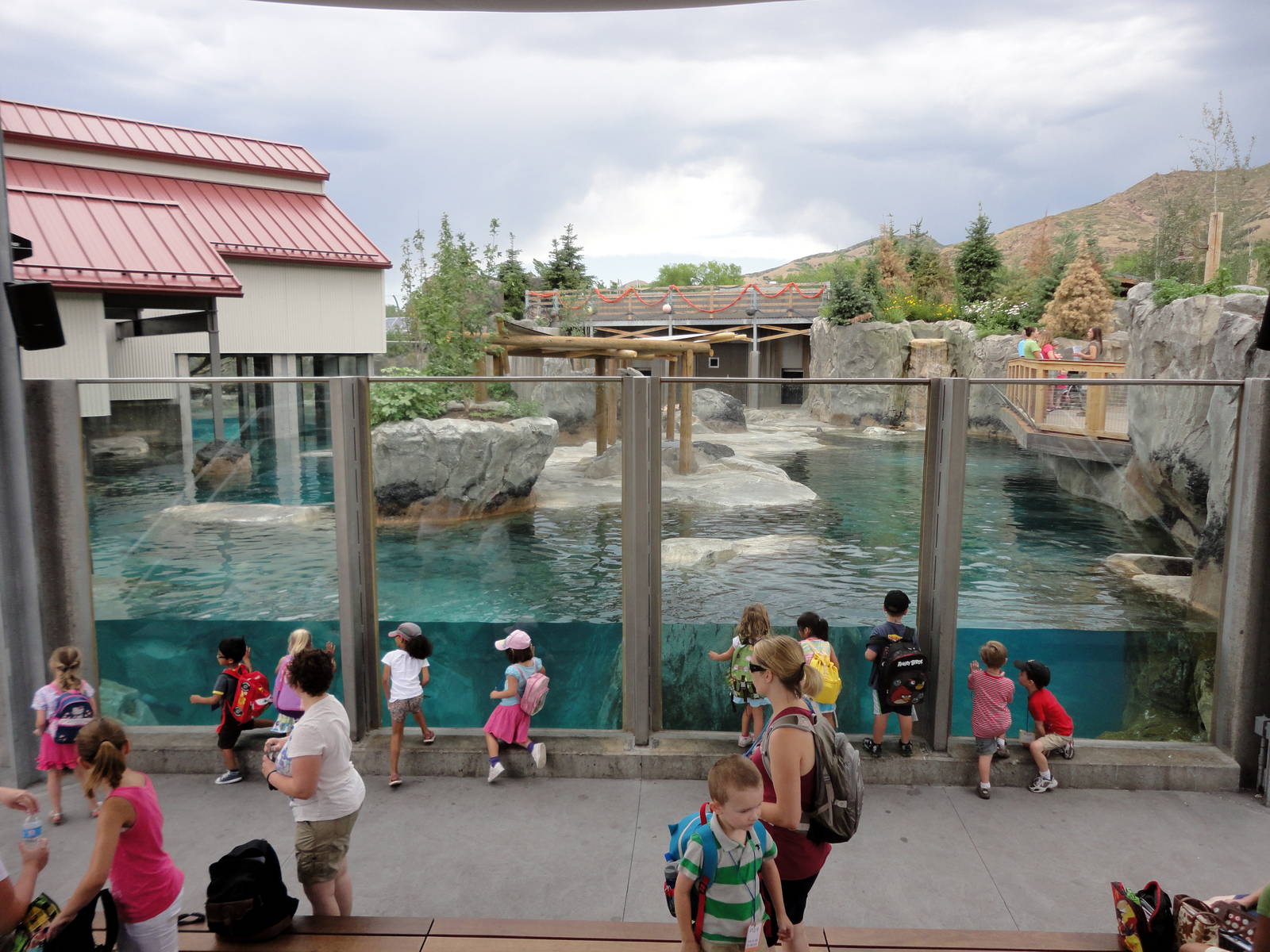 Rocky Shores - Seal/Sea Lion Exhibit