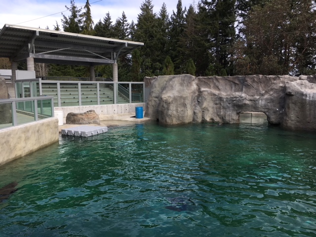 Rocky Shores - Seating Area (New in 2017)