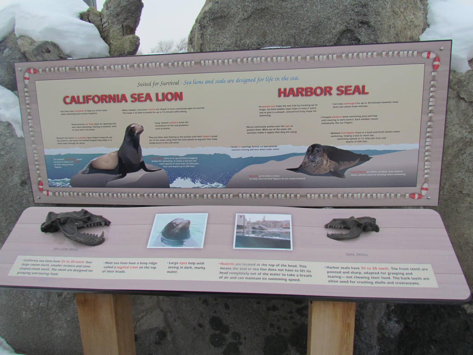 Rocky Shores - Signage