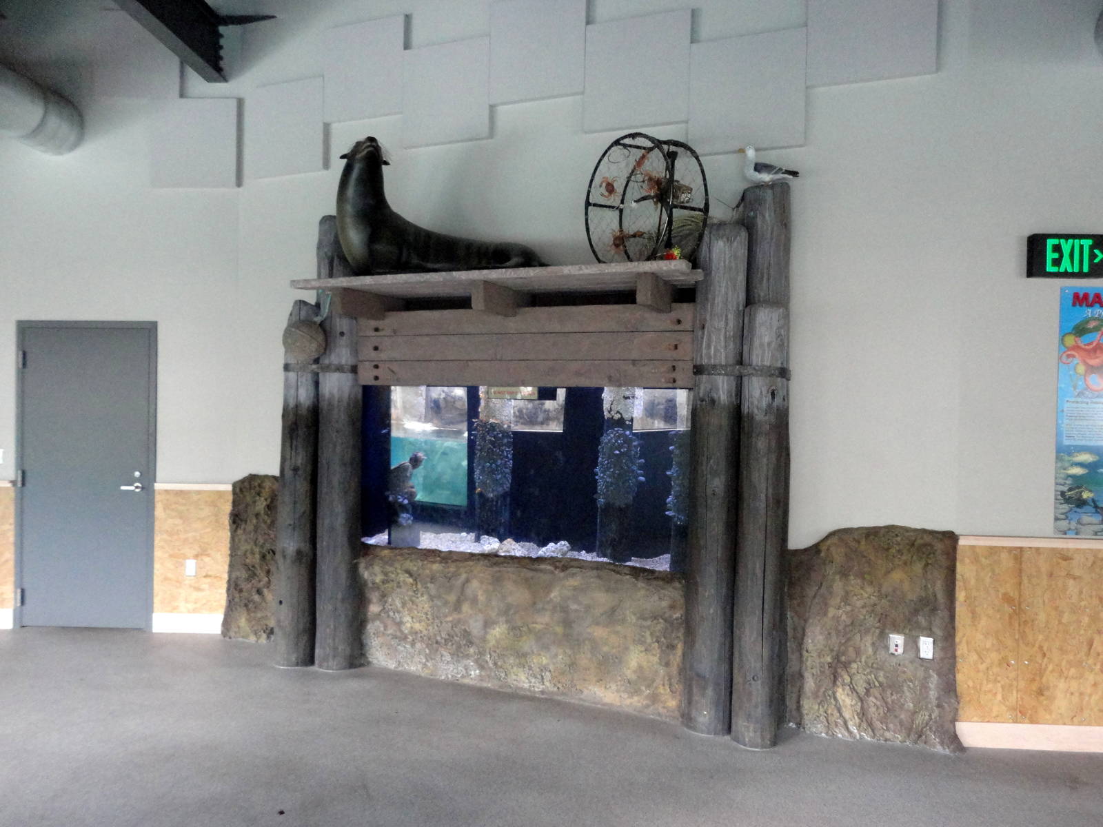 Rocky Shores - Small Aquarium