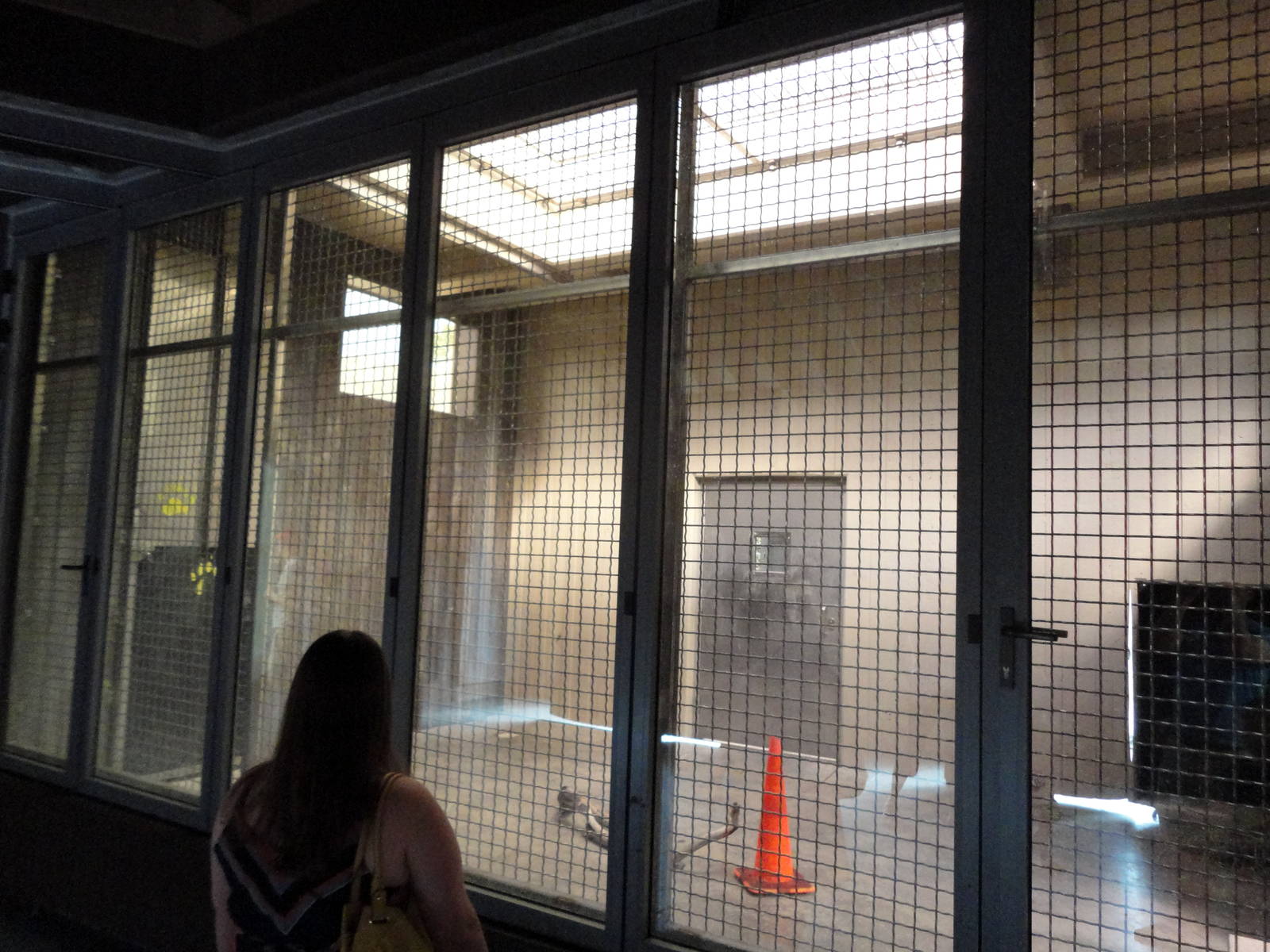 Rocky Shores - The Bear Den