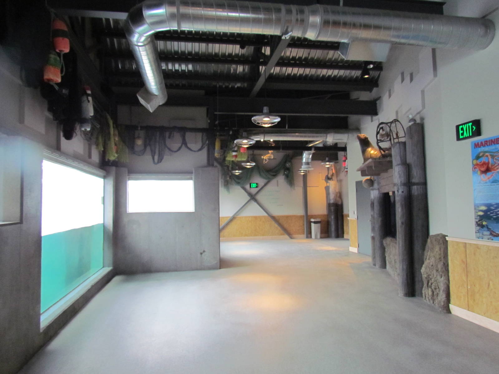 Rocky Shores - Underwater Viewing Gallery