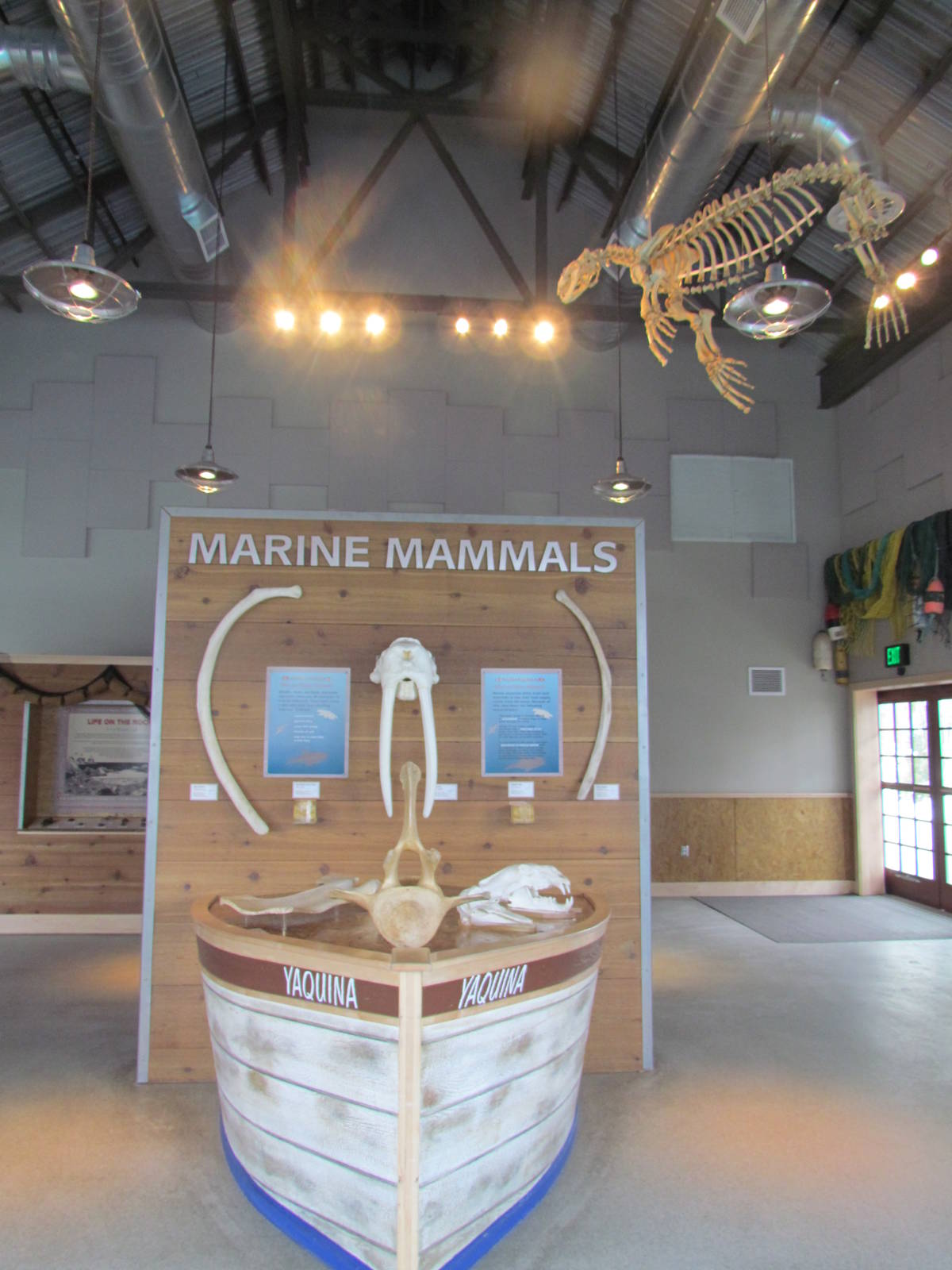 Rocky Shores - Underwater Viewing Gallery