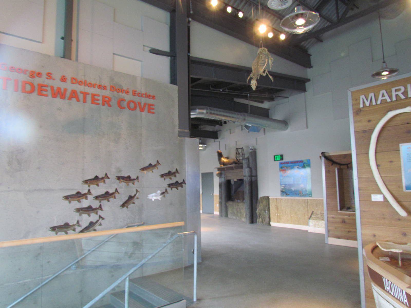 Rocky Shores - Underwater Viewing Gallery