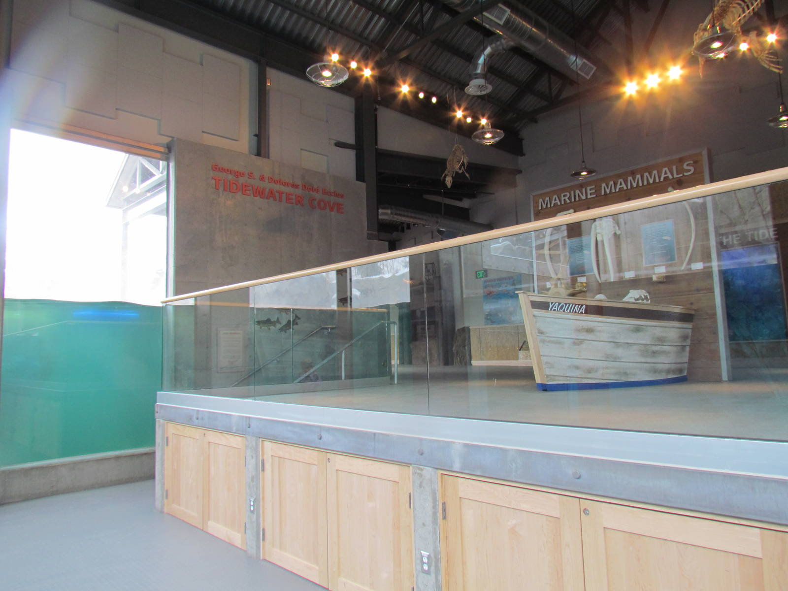 Rocky Shores - Underwater Viewing Gallery