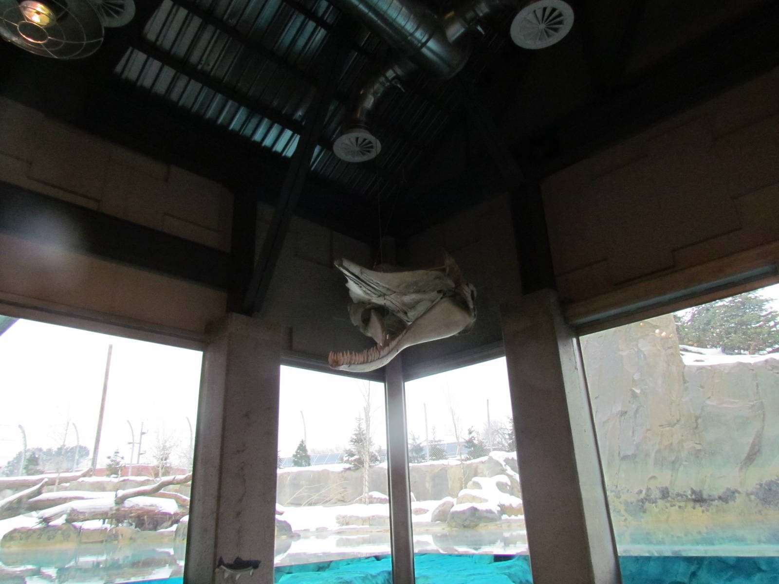 Rocky Shores - Underwater Viewing Gallery