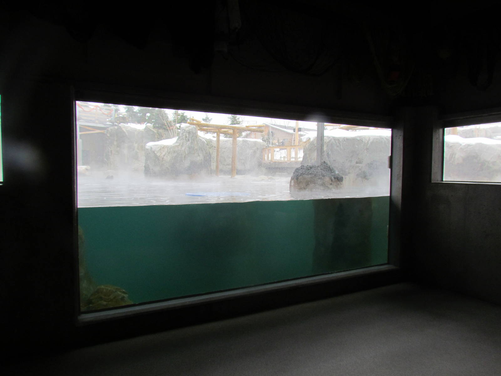 Rocky Shores - Underwater Viewing Gallery