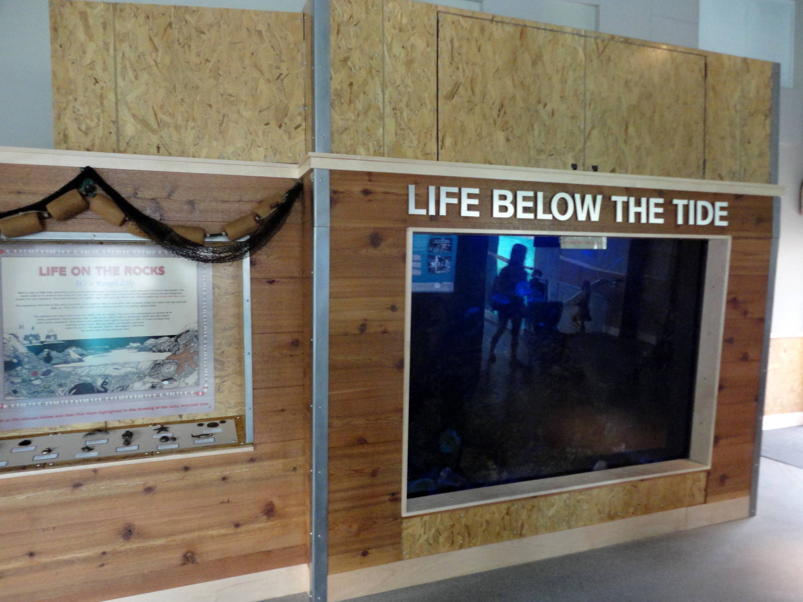 Rocky Shores - Wave Crash Tank