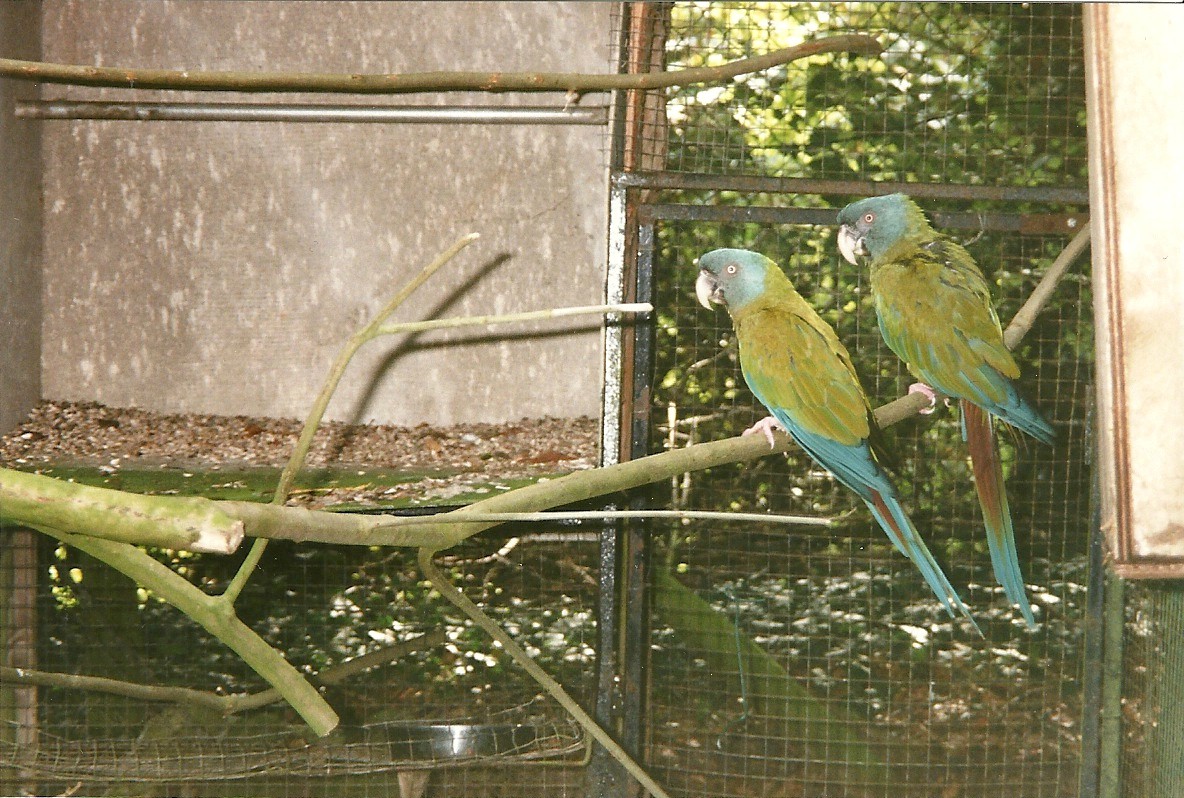 Rode (closed) 13th September 2000