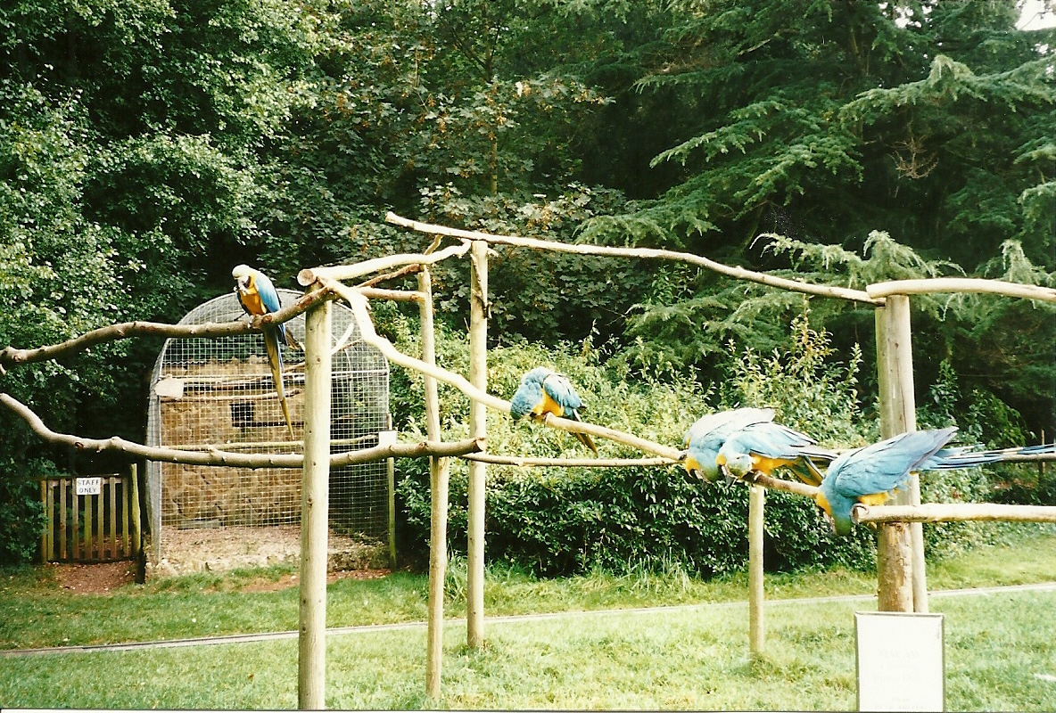 Rode (closed) 13th September 2000