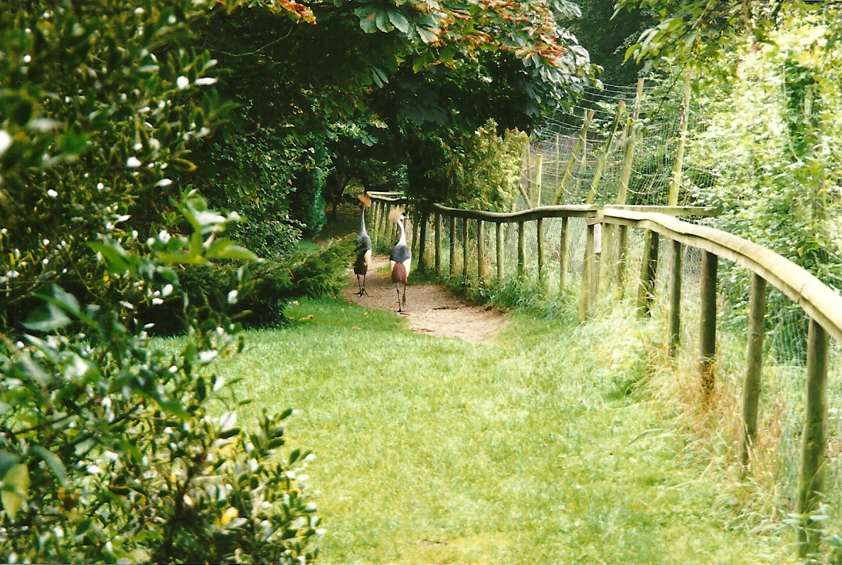 Rode (closed) 13th September 2000