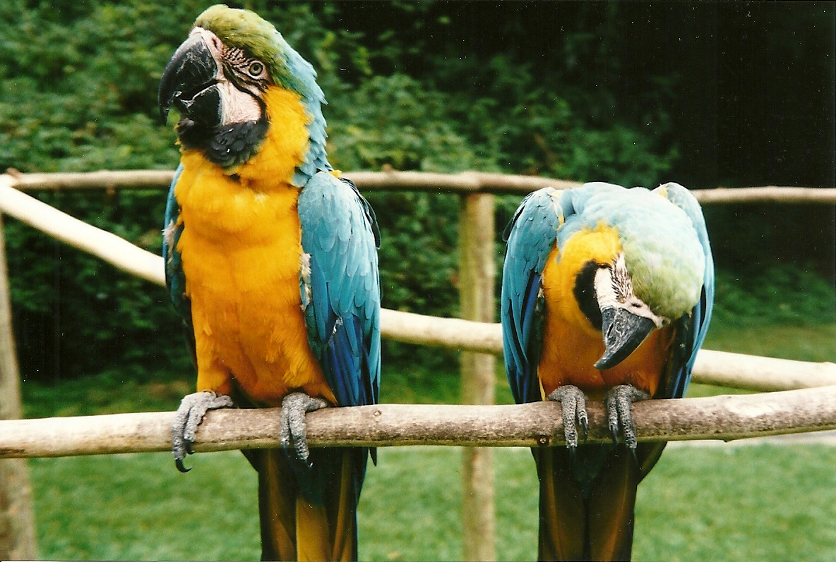 Rode (closed) 13th September 2000